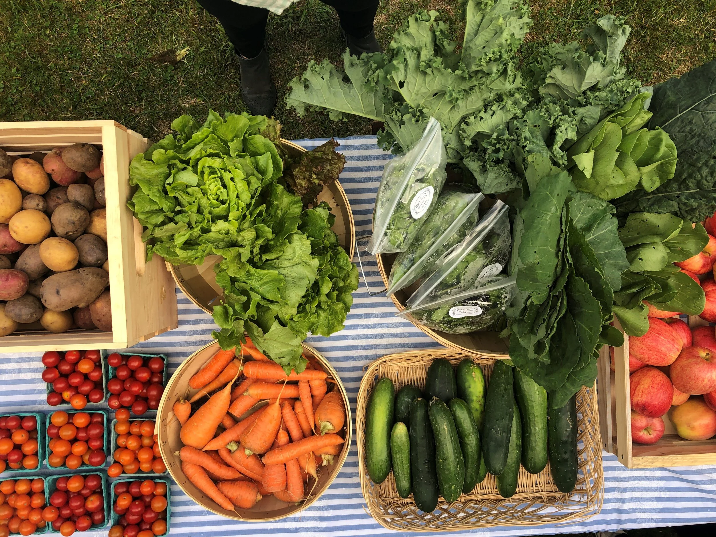 Hilltown Mobile Market will launch July 23rd!