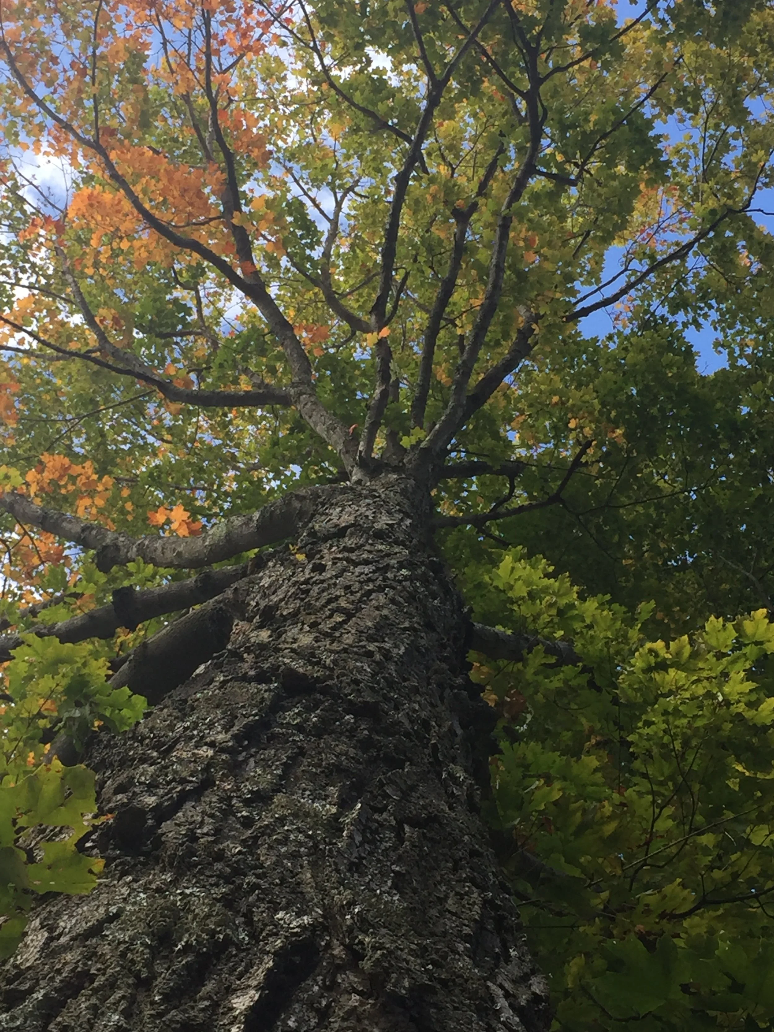 Hilltown CDC Annual Meeting 2022