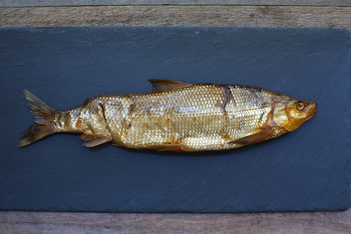whitefish.jpg
