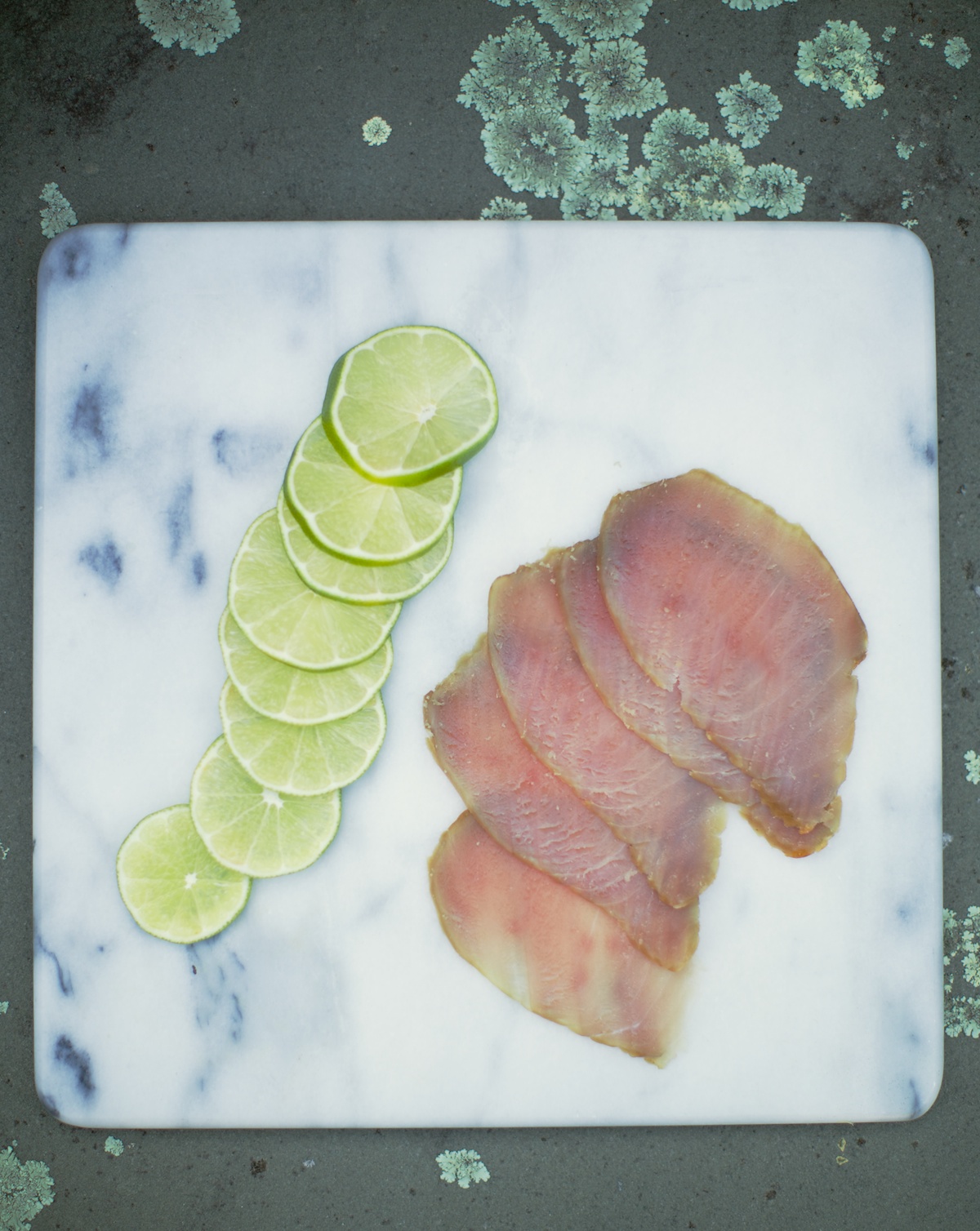 tuna and moss.jpg