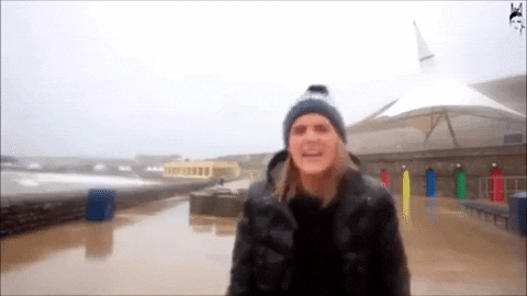 giphy (1).gif