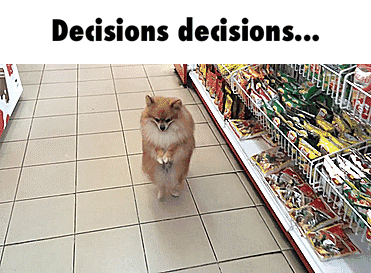 Decisions.gif