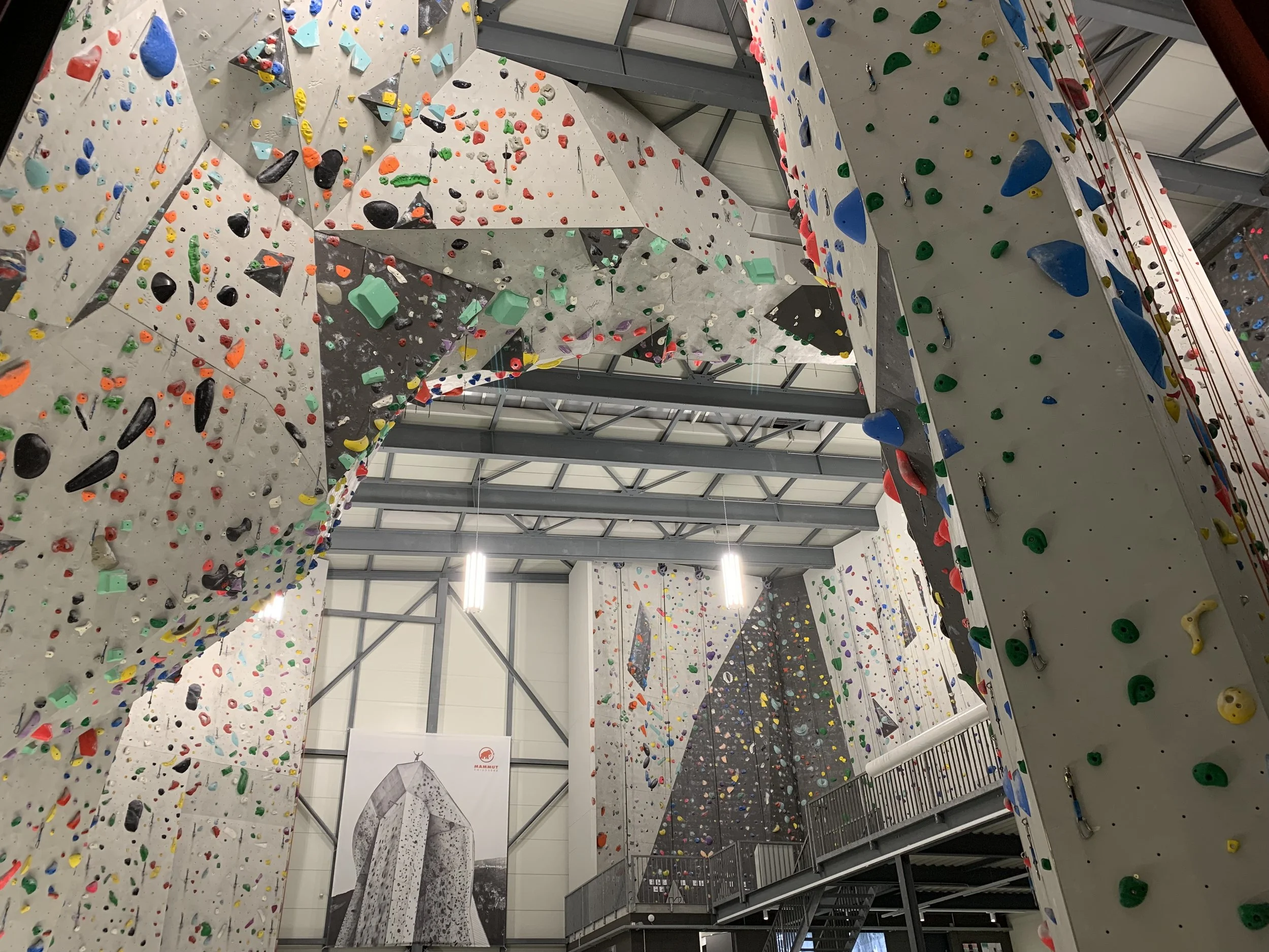 Mammut1.jpeg