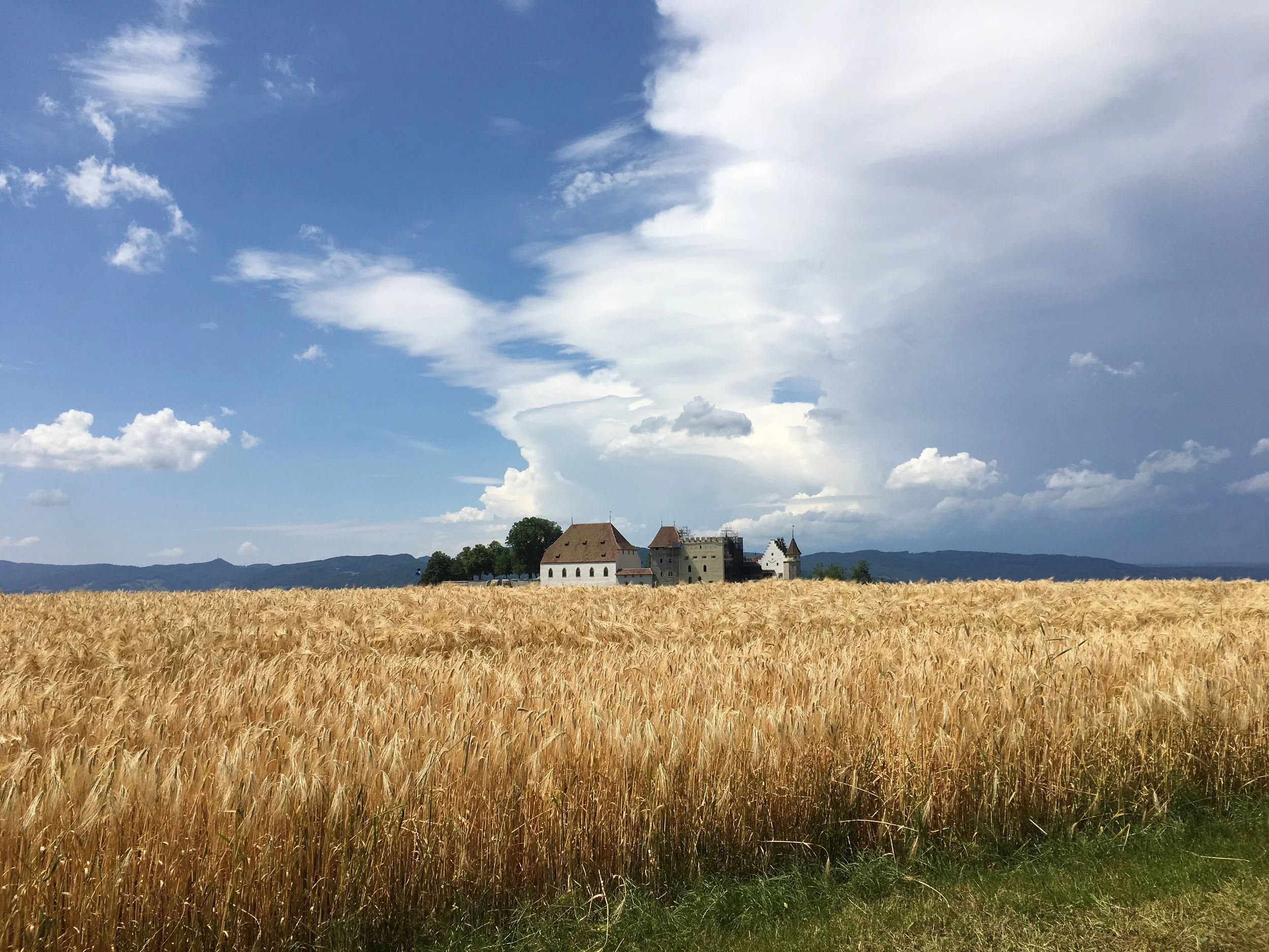 SchlossKornSo.jpg