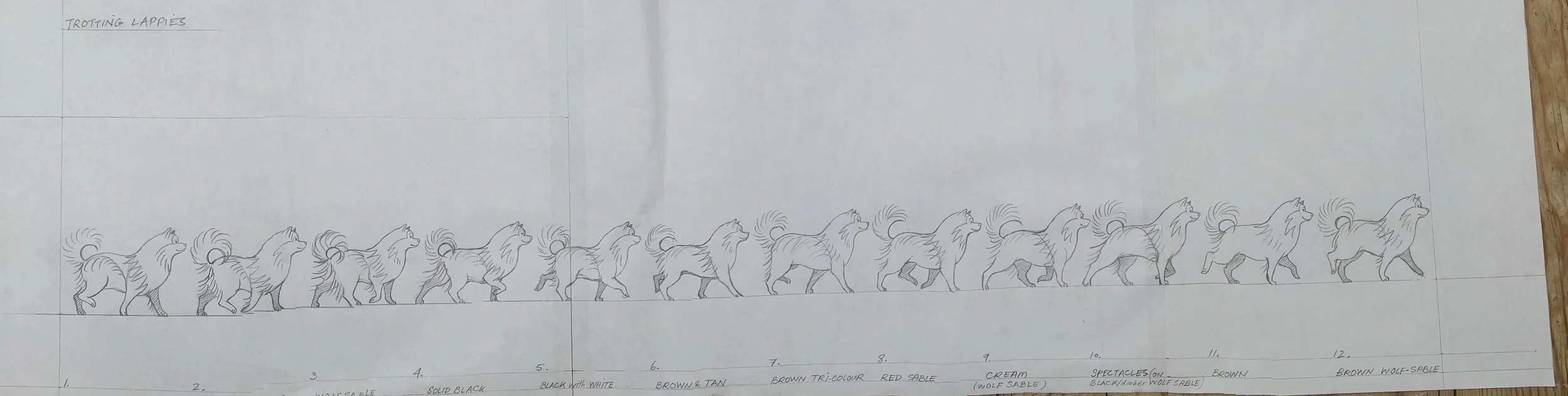 …by actually animating a lapphund trotting! I couldn’t resist listing all the colours that lapphunds come in underneath.