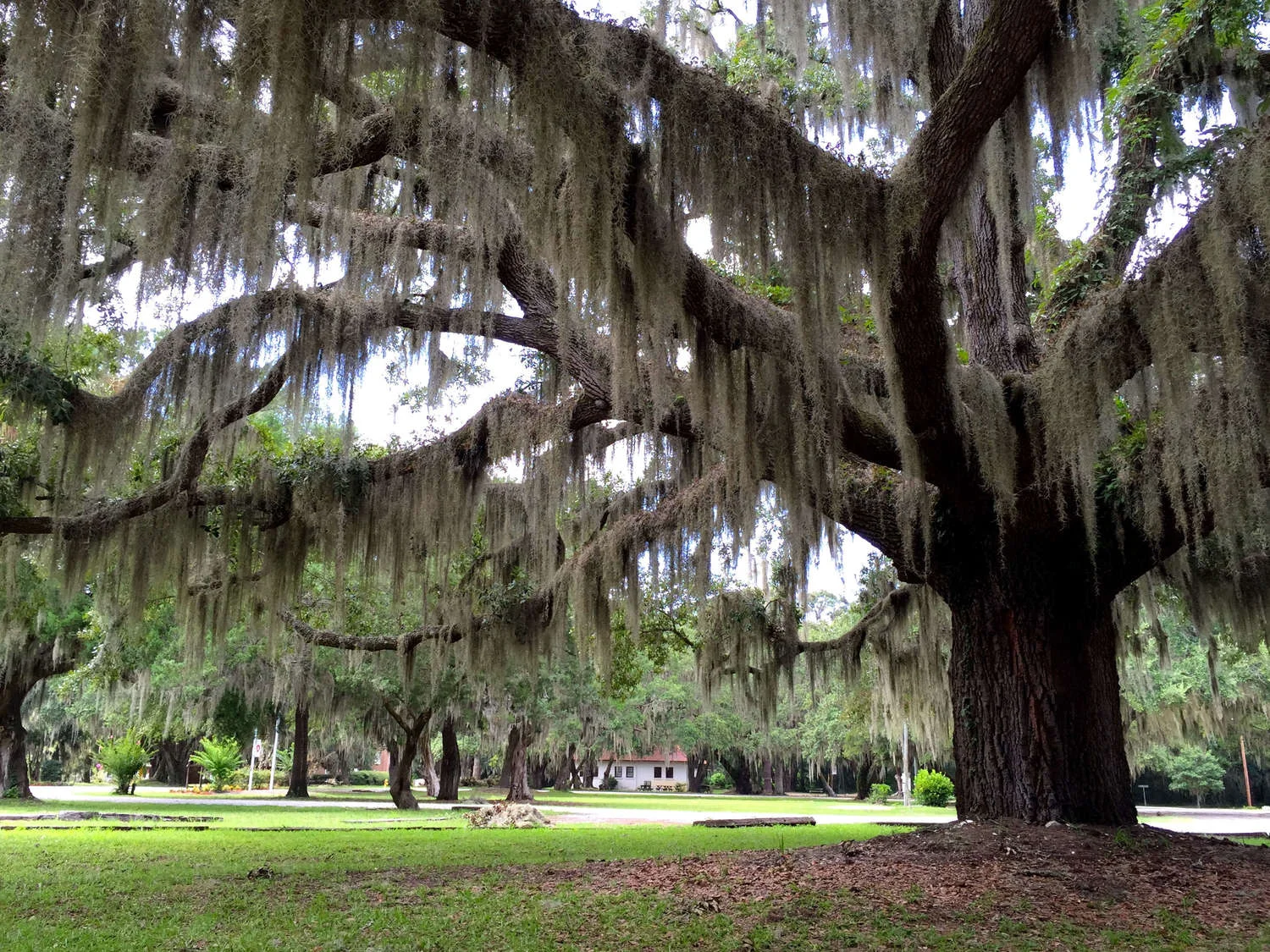 Penn Center , Saint Helena Island : Route to (re)settlement Exhibition Venue & cultural partner