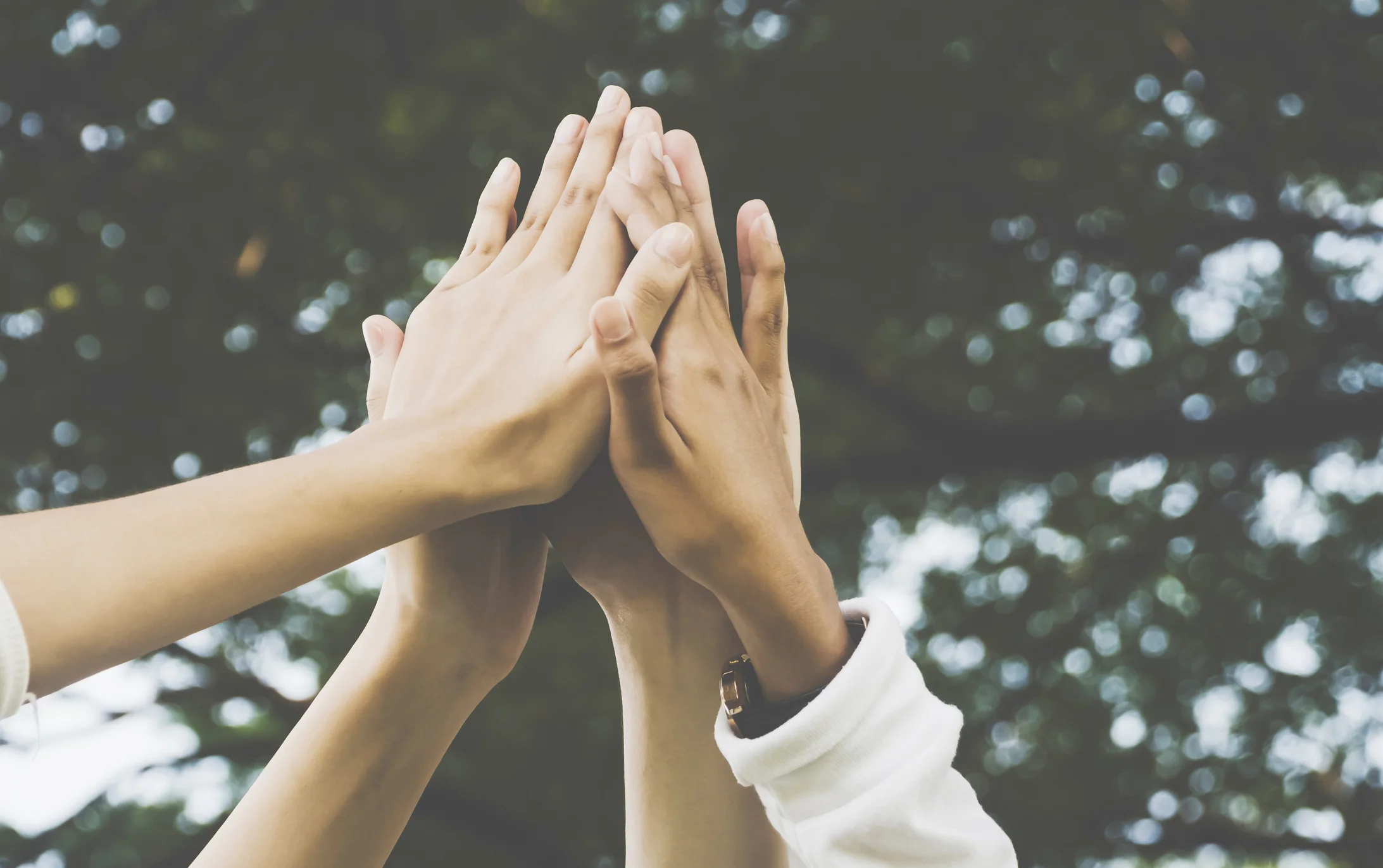 iStock-921443660.jpg