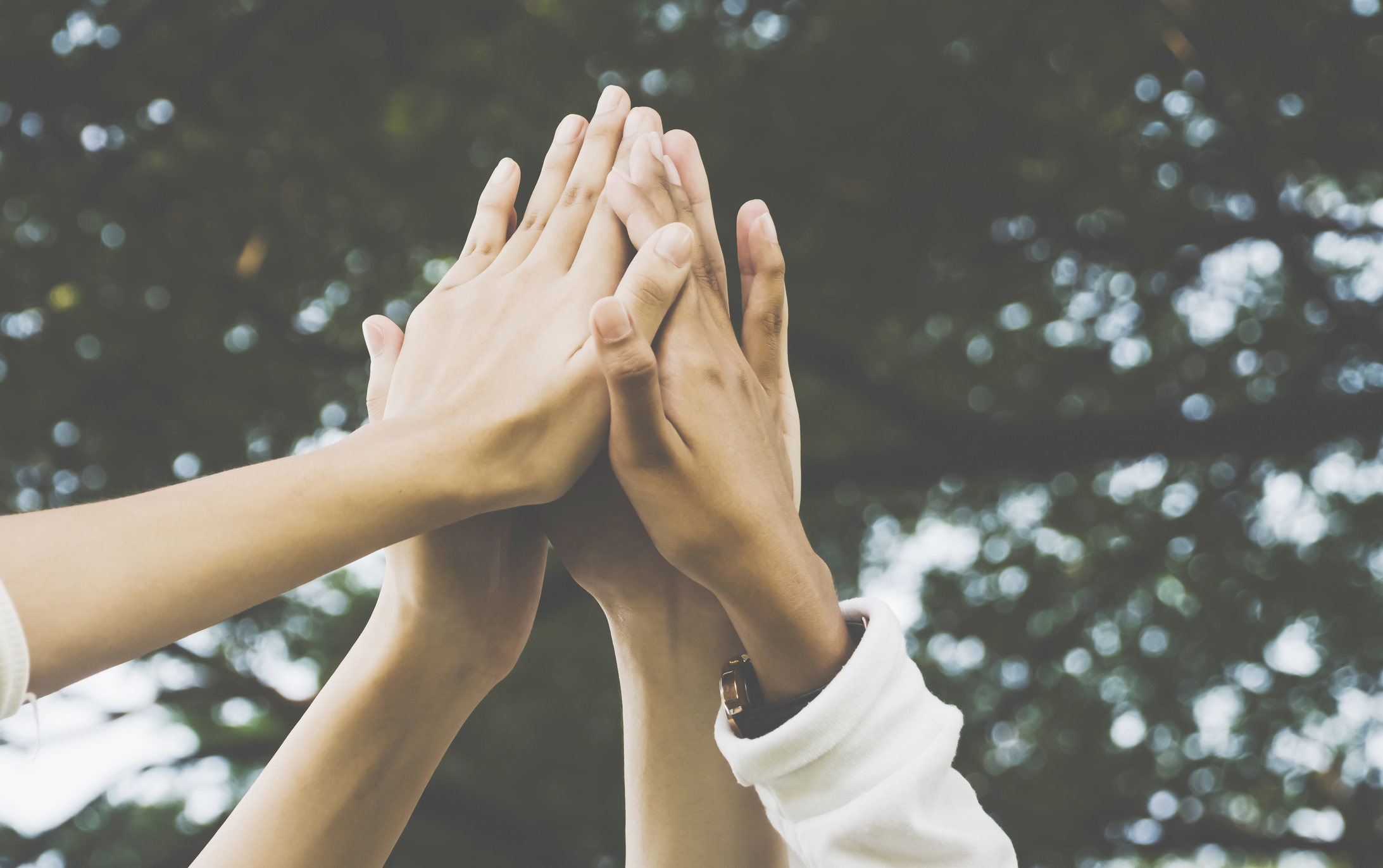 iStock-921443660.jpg