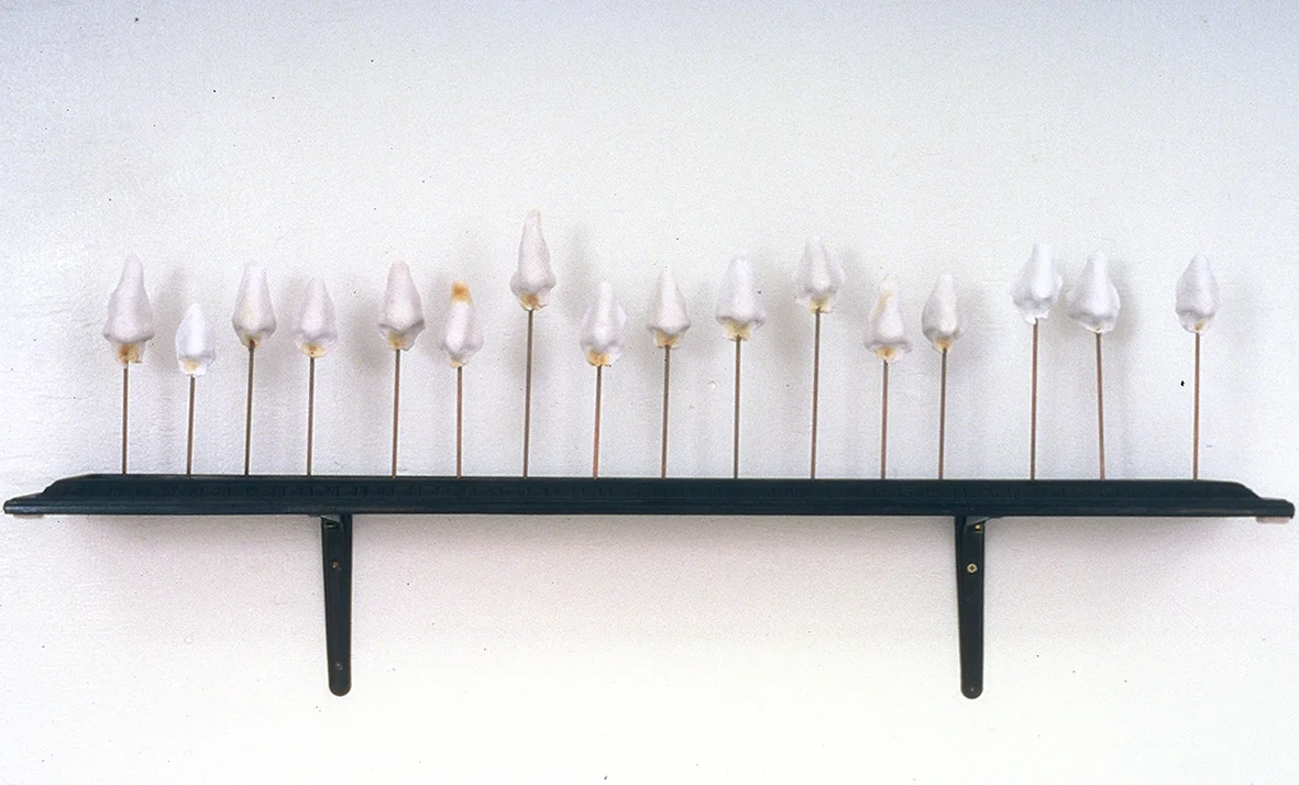 Untitled (Nosegarden) 2002 assemblage, 15” x 37” x 7”