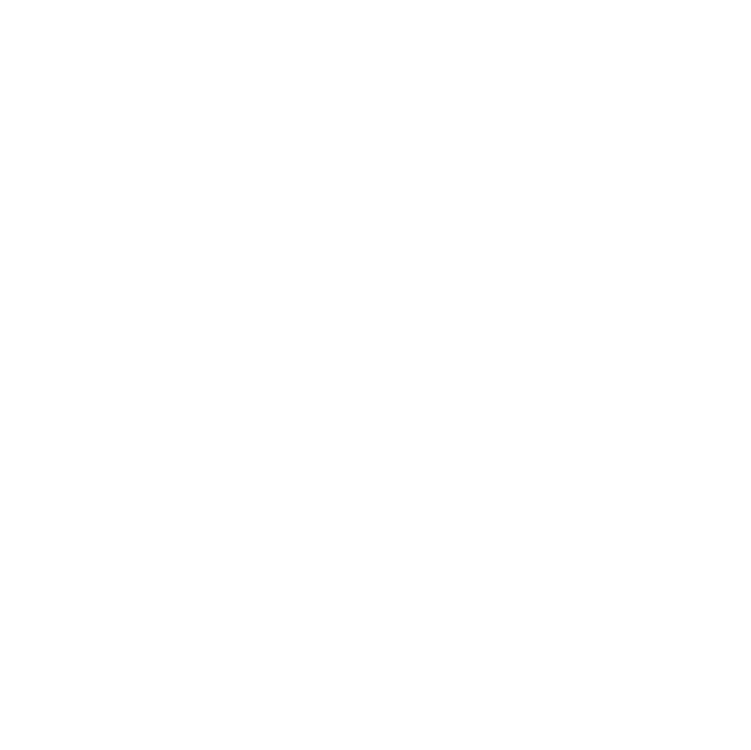 Michigan Academy of Folk Music