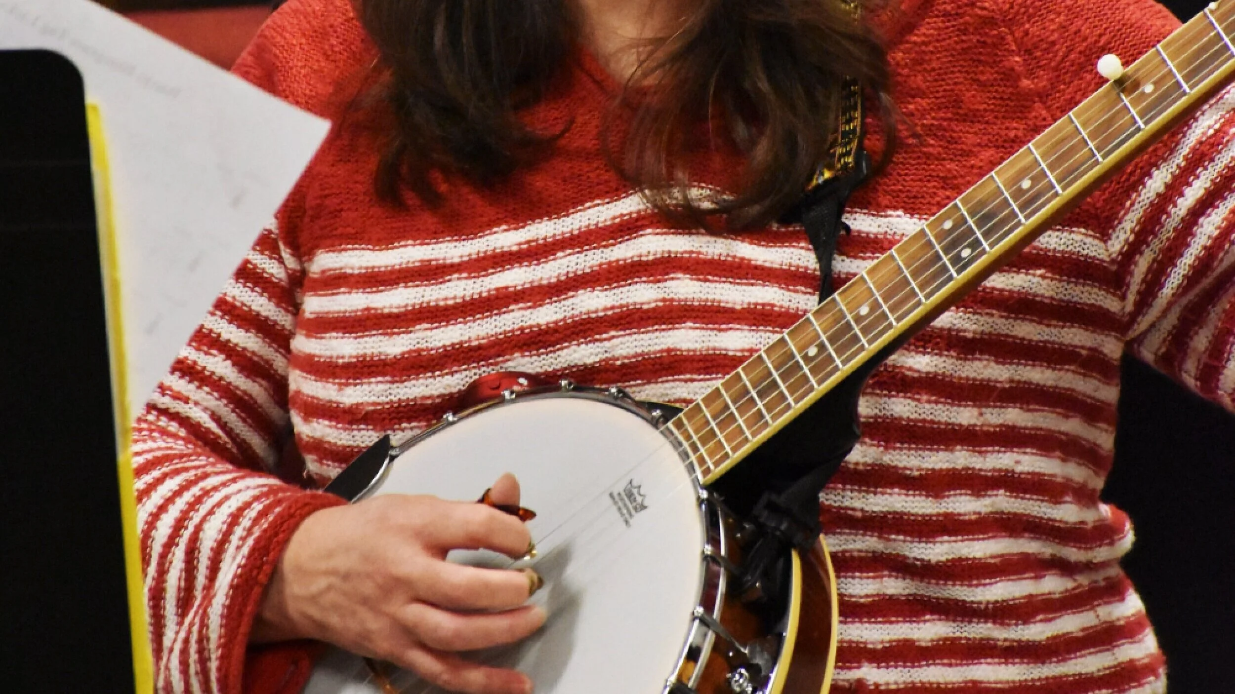 Banjo Lessons — Michigan Academy of Folk Music
