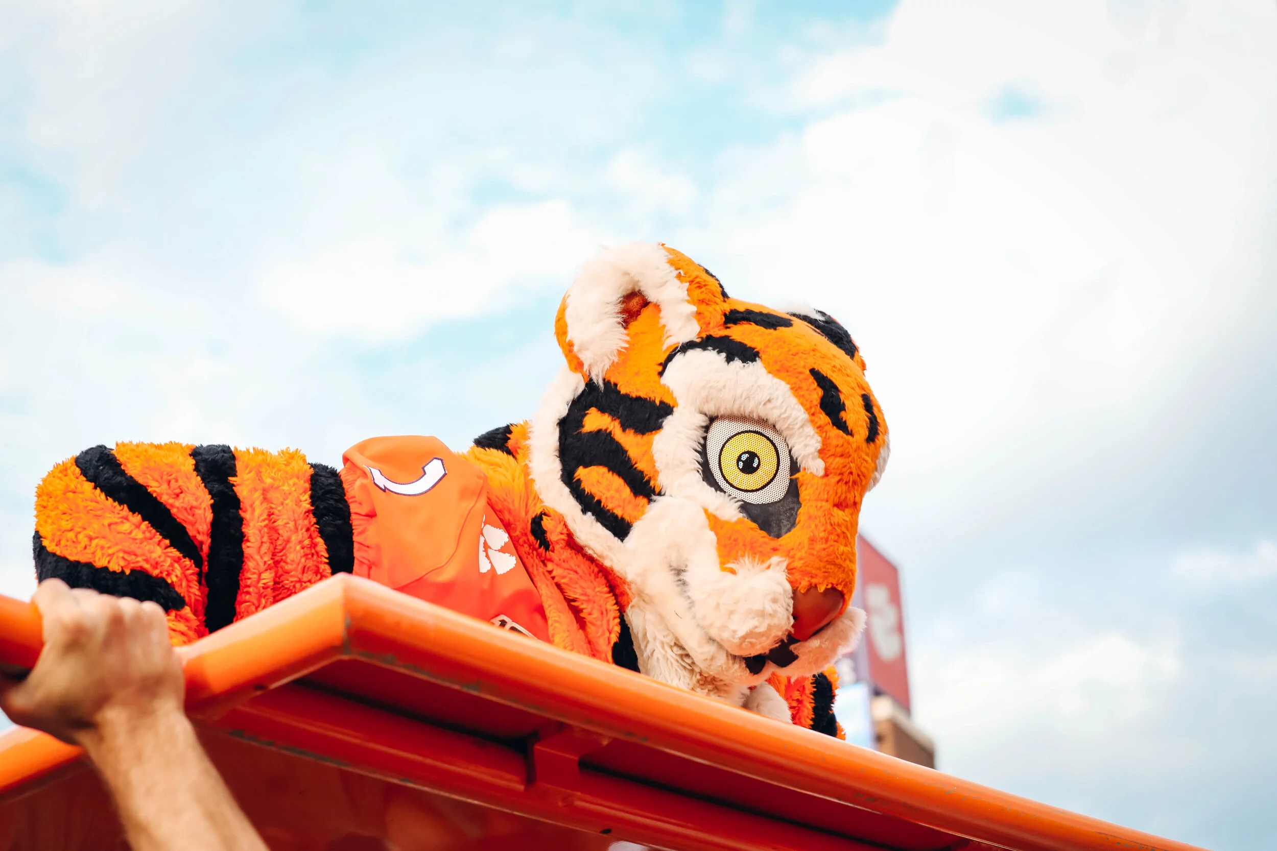 TheTiger.MA.jpg
