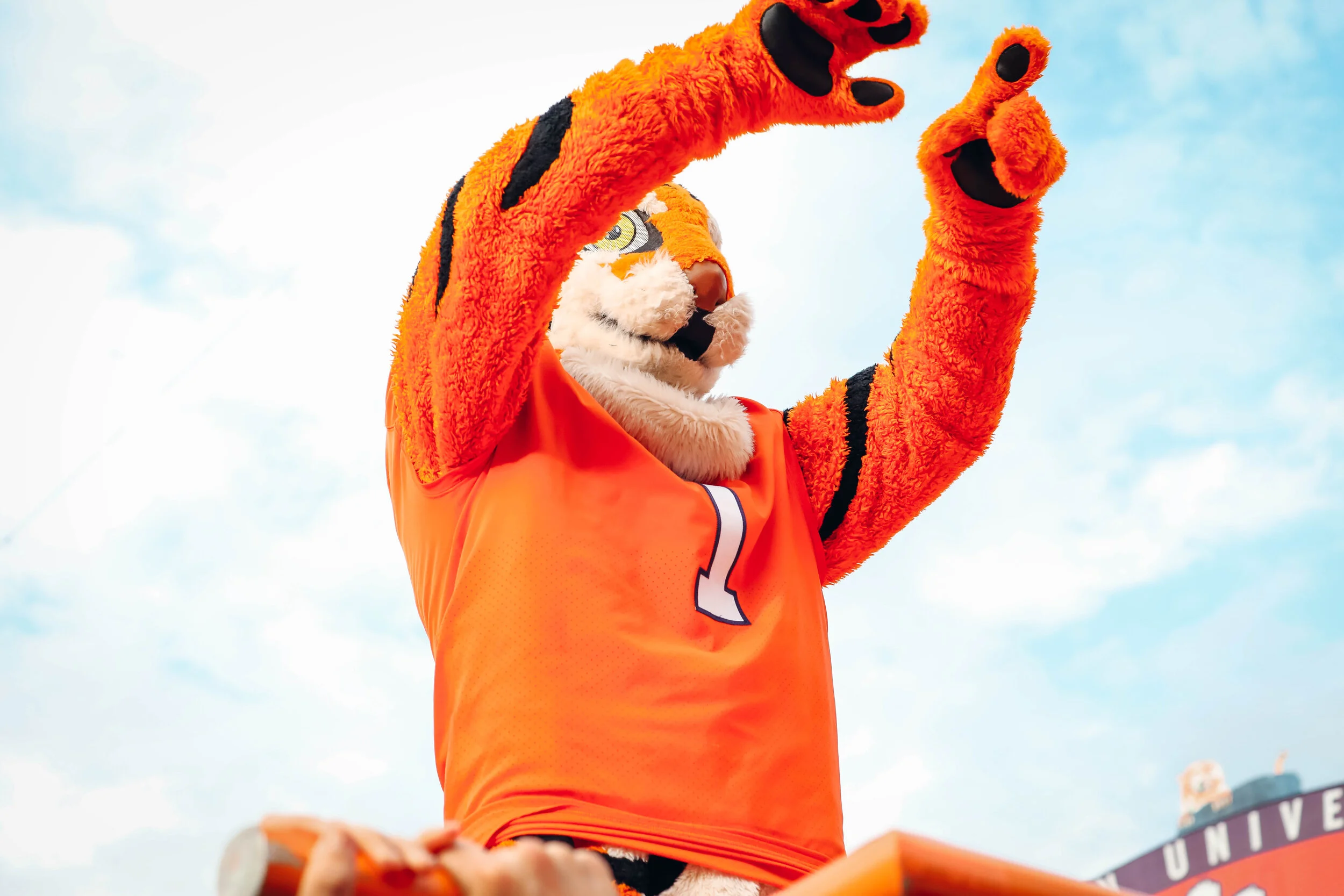TheTiger2.MA.jpg