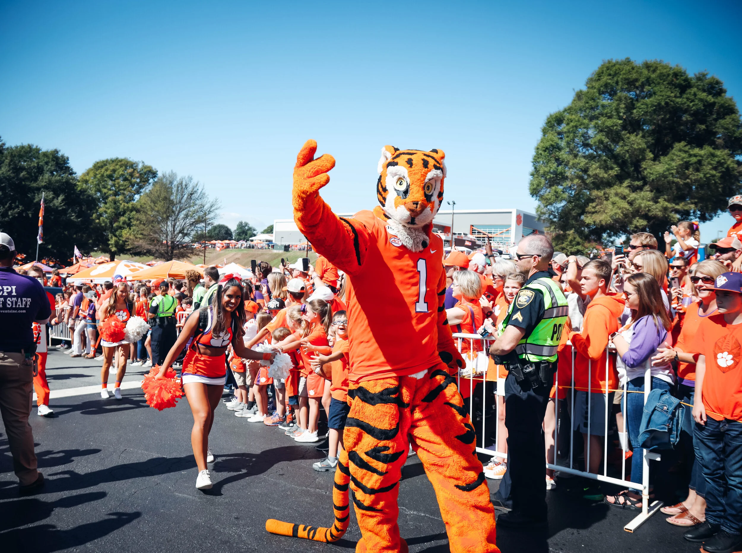 Tigerwalk.MA.jpg