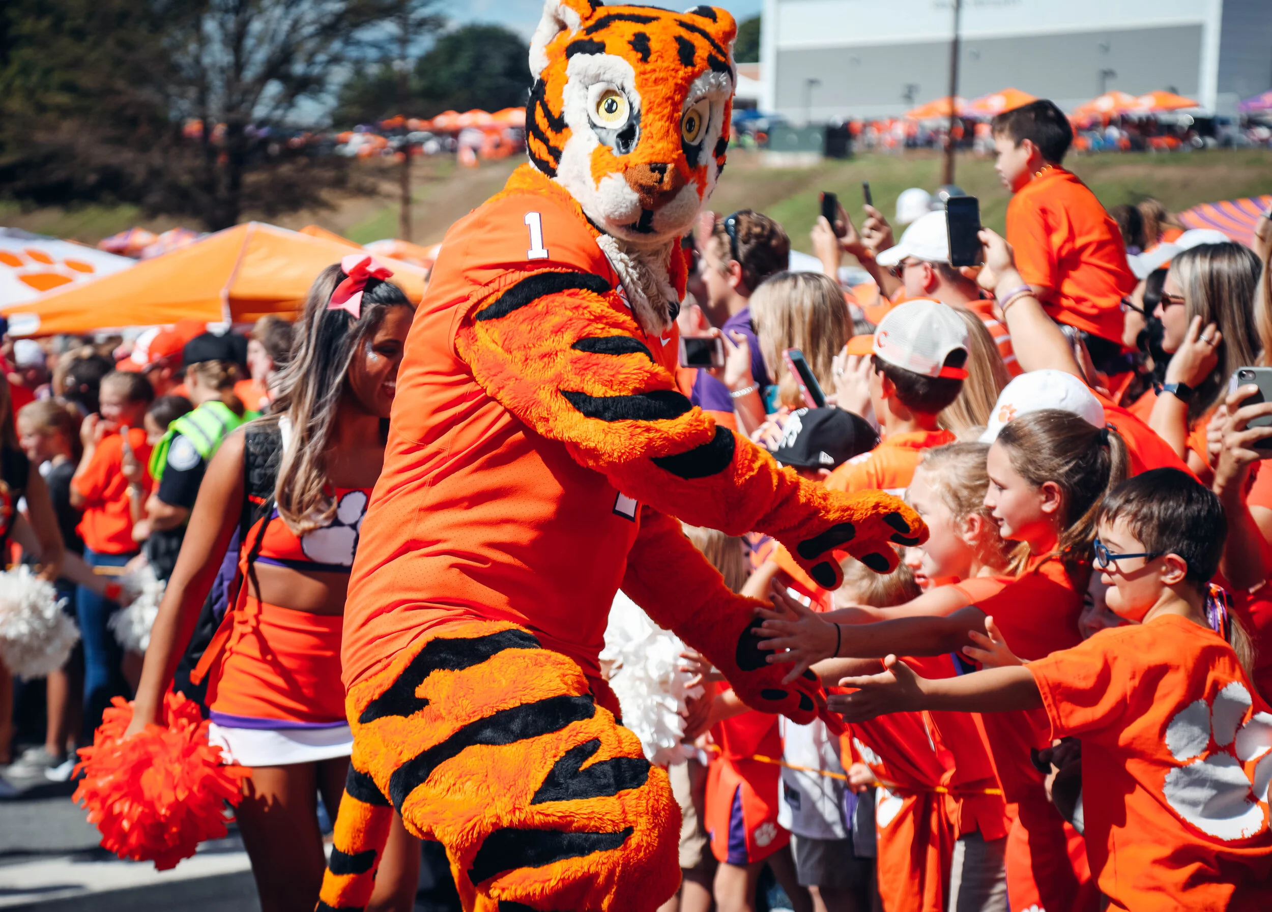 Tigerwalk2.MA.jpg
