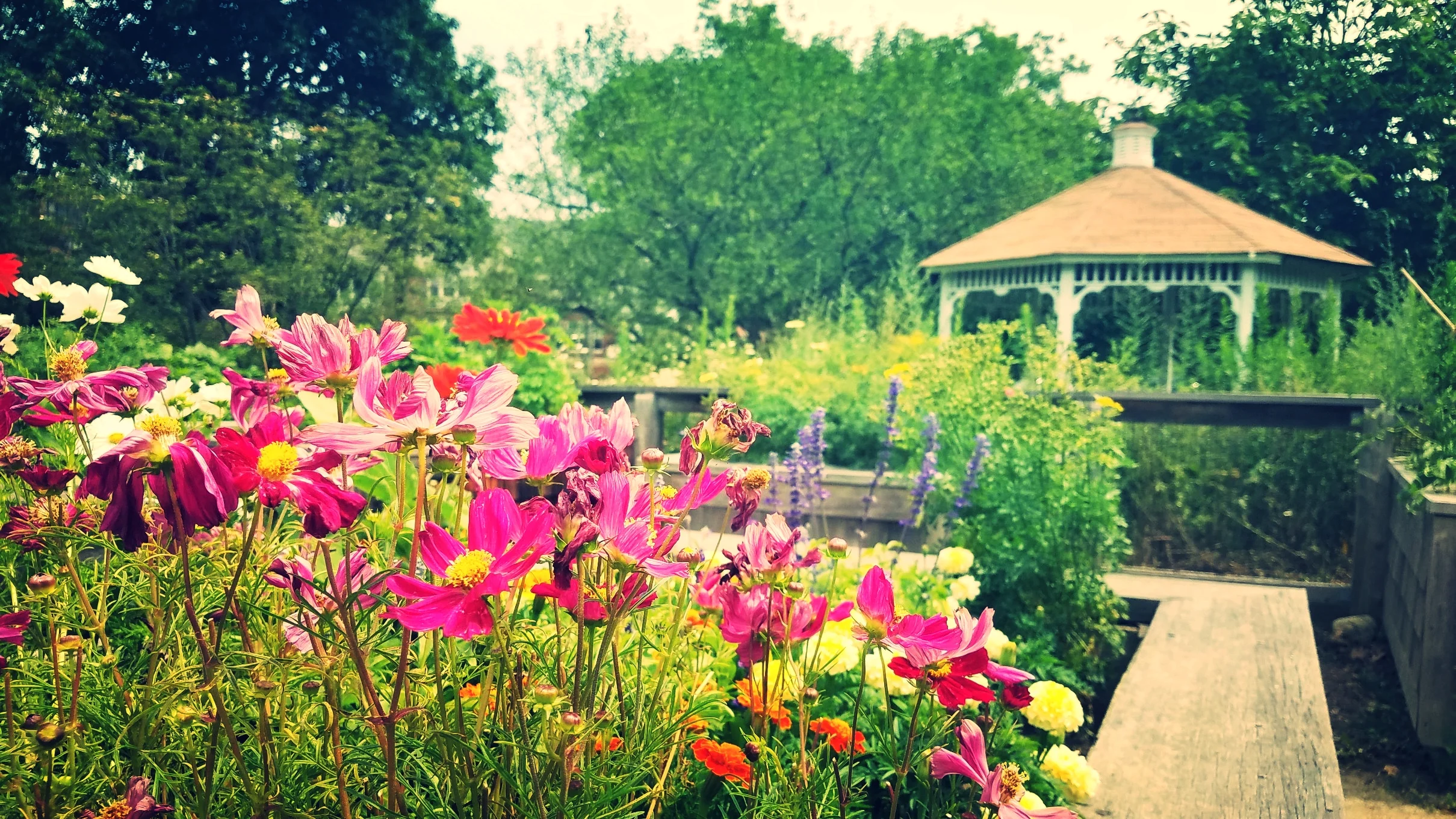 20160728_124951.jpg