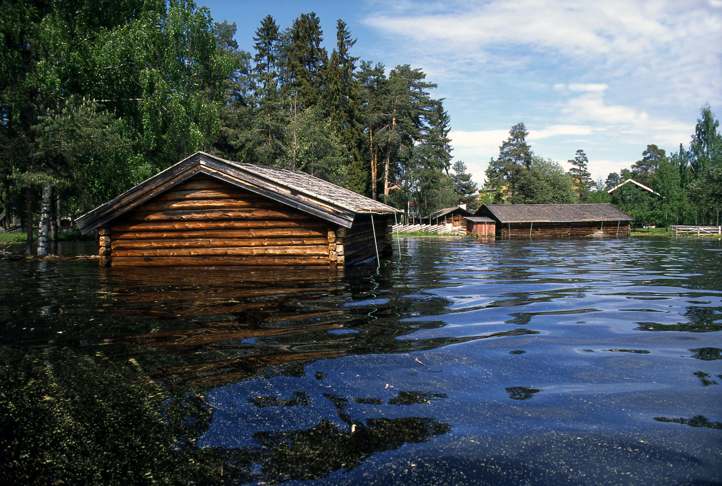 Foto: Jan Haug/ Hedmarksmuseet