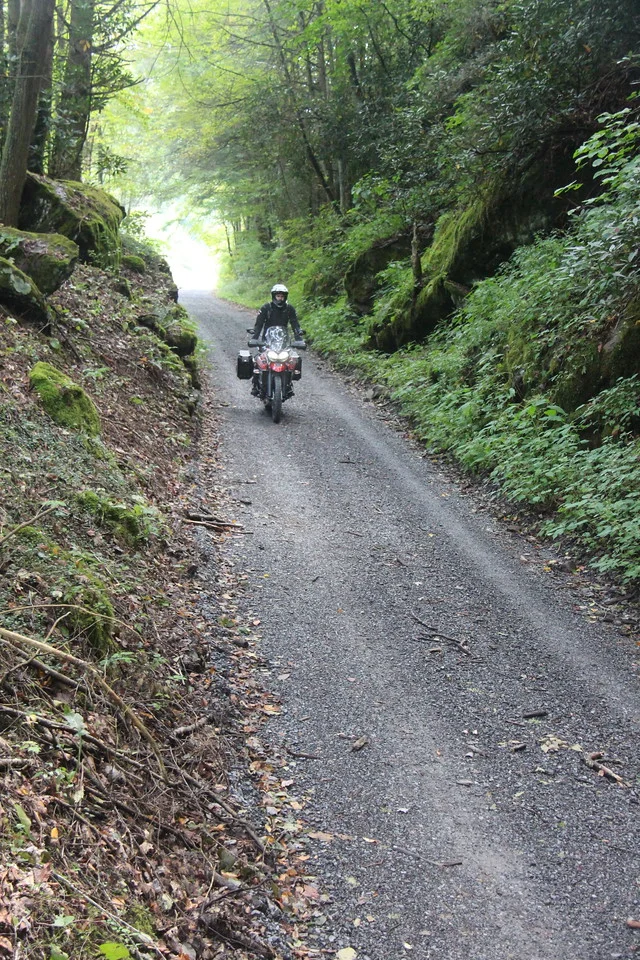 IMG_6847-X2.jpg
