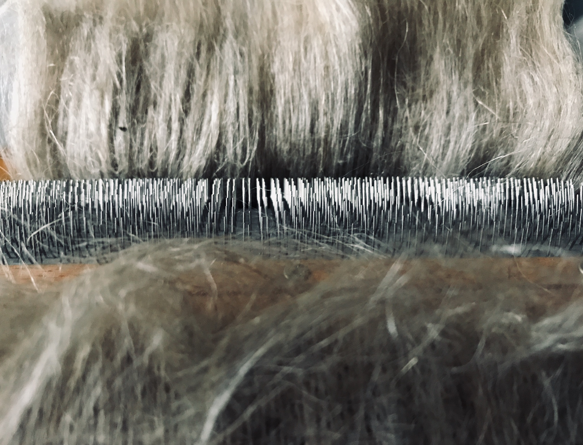 Carding flax stricks