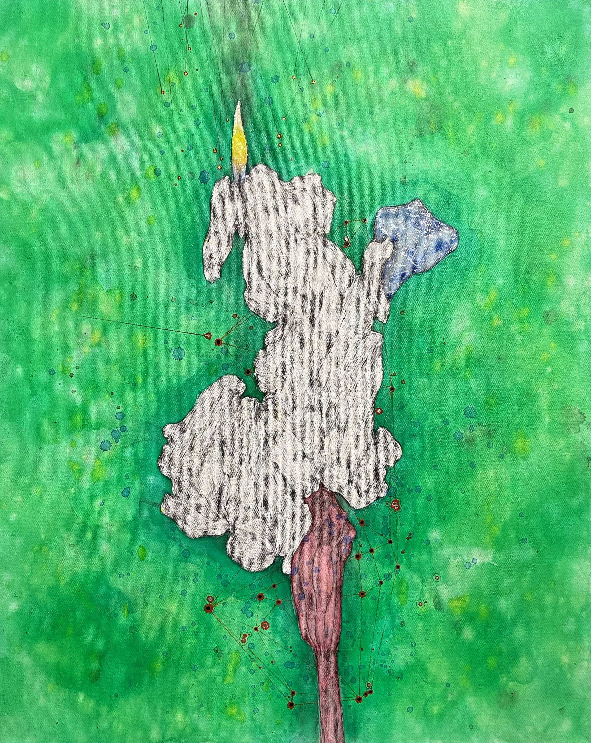 Igniting the Medulla