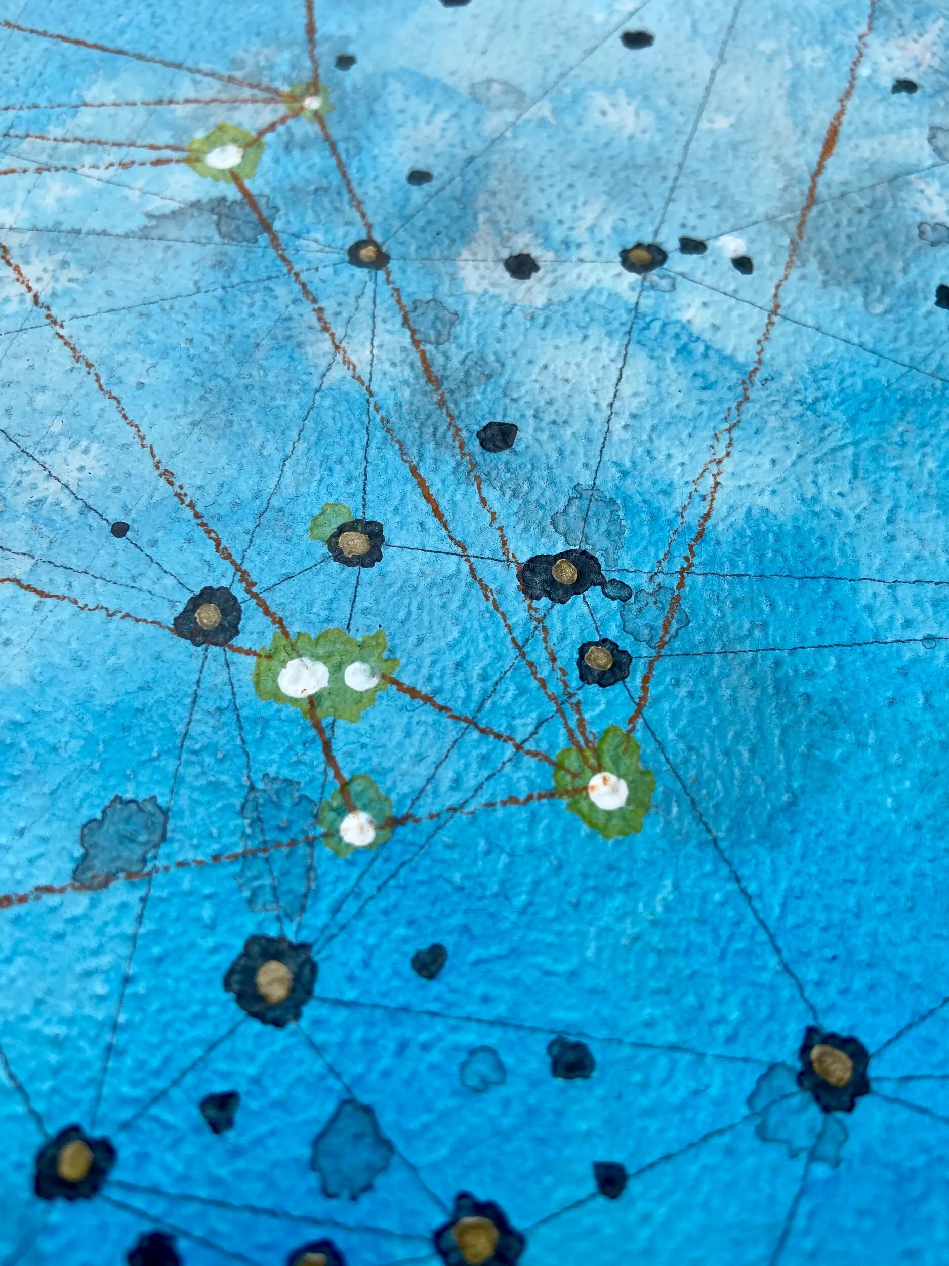 E2D9DA2C-8903-4950-8873-D7CB706EBE5C