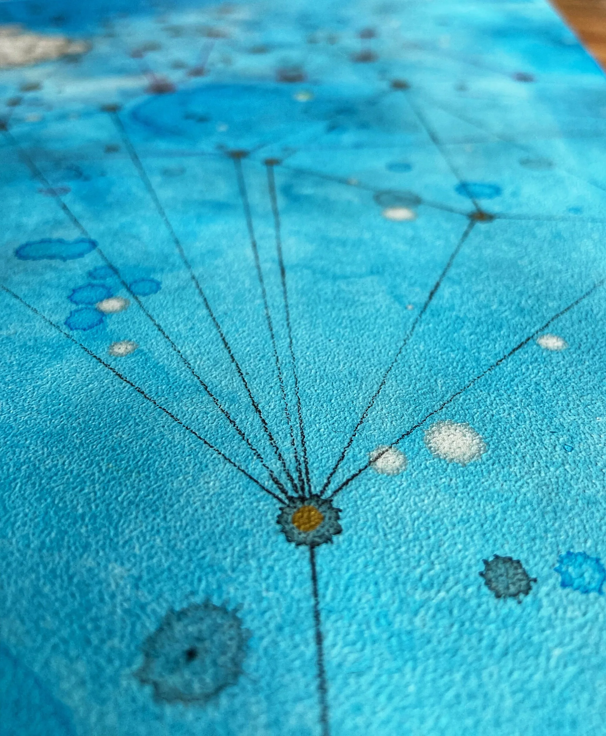 BC6341F9-129C-456F-AD55-8915C039AFBC