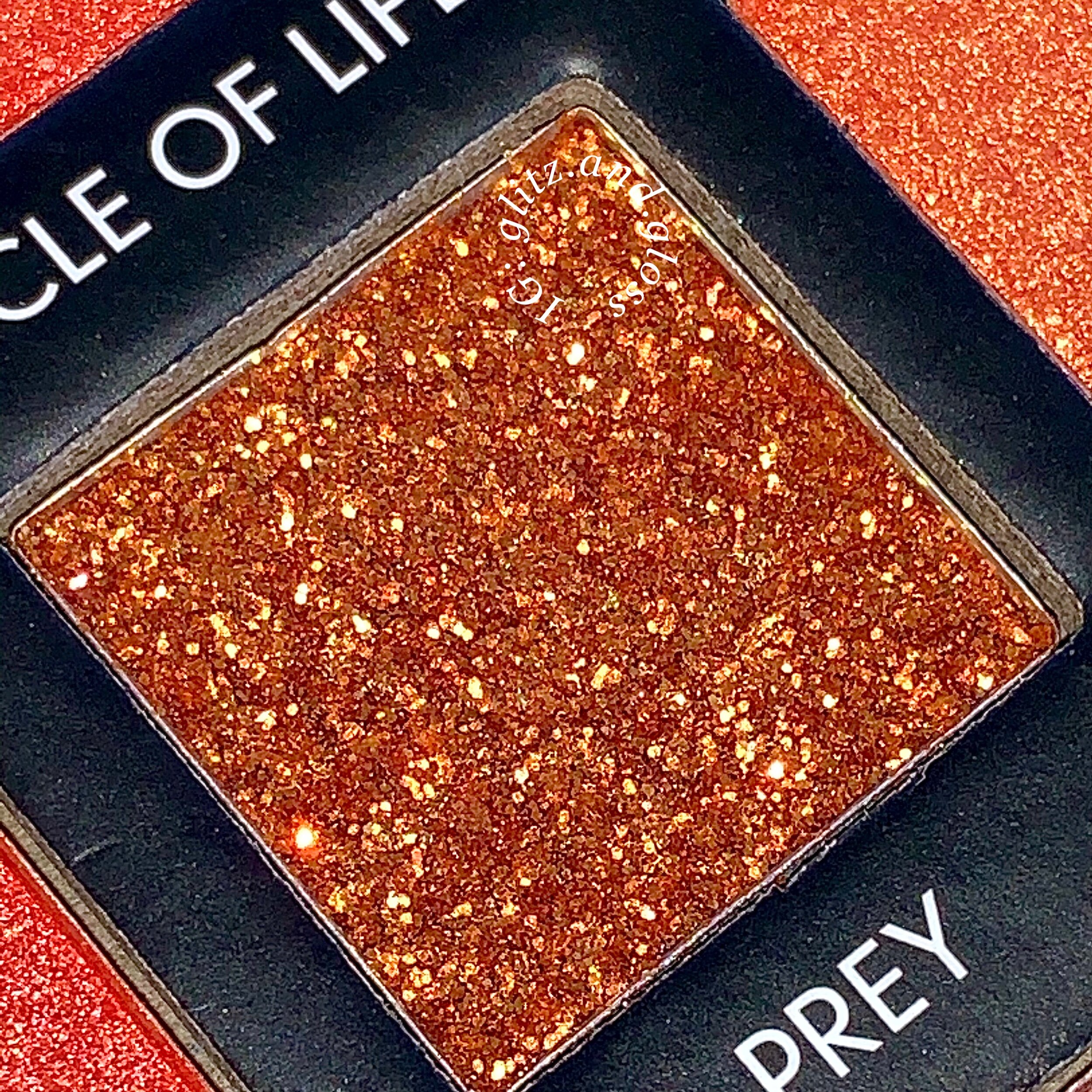 499A3731-FE50-425A-84EB-E4ED55180D63