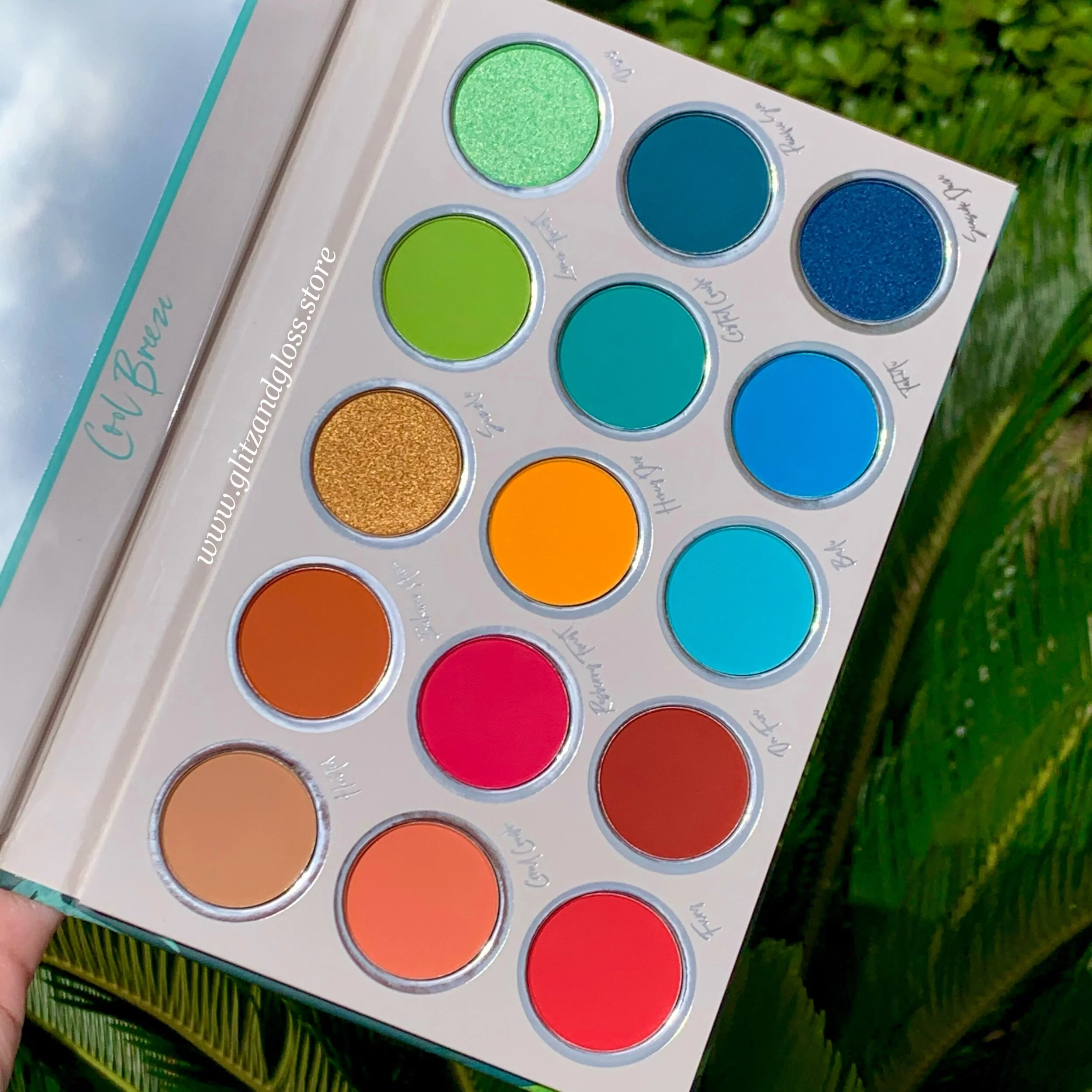 24EC11A8-9E0D-4EF2-B808-6376F9CF6AF2