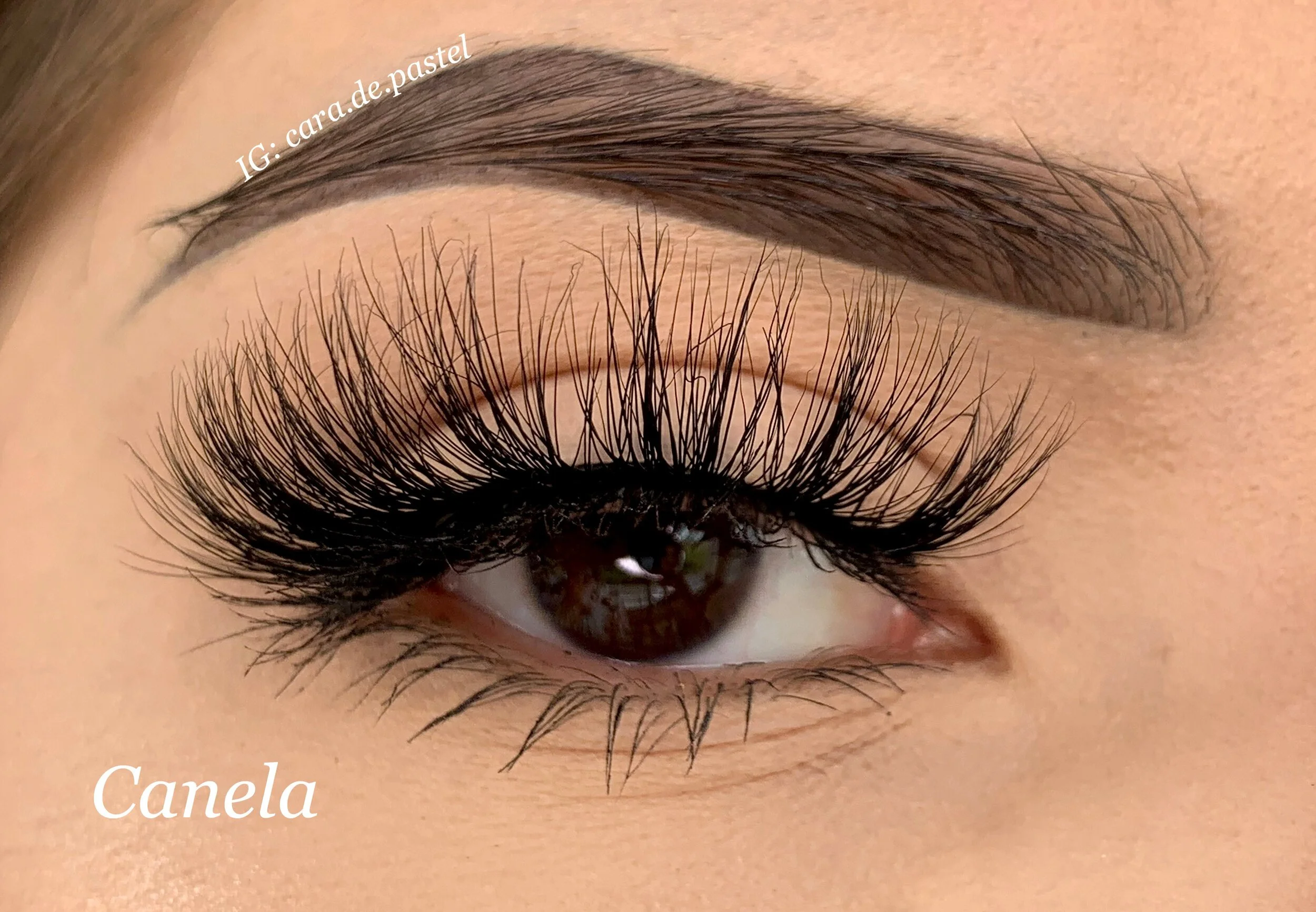 canela lash swatch.jfif