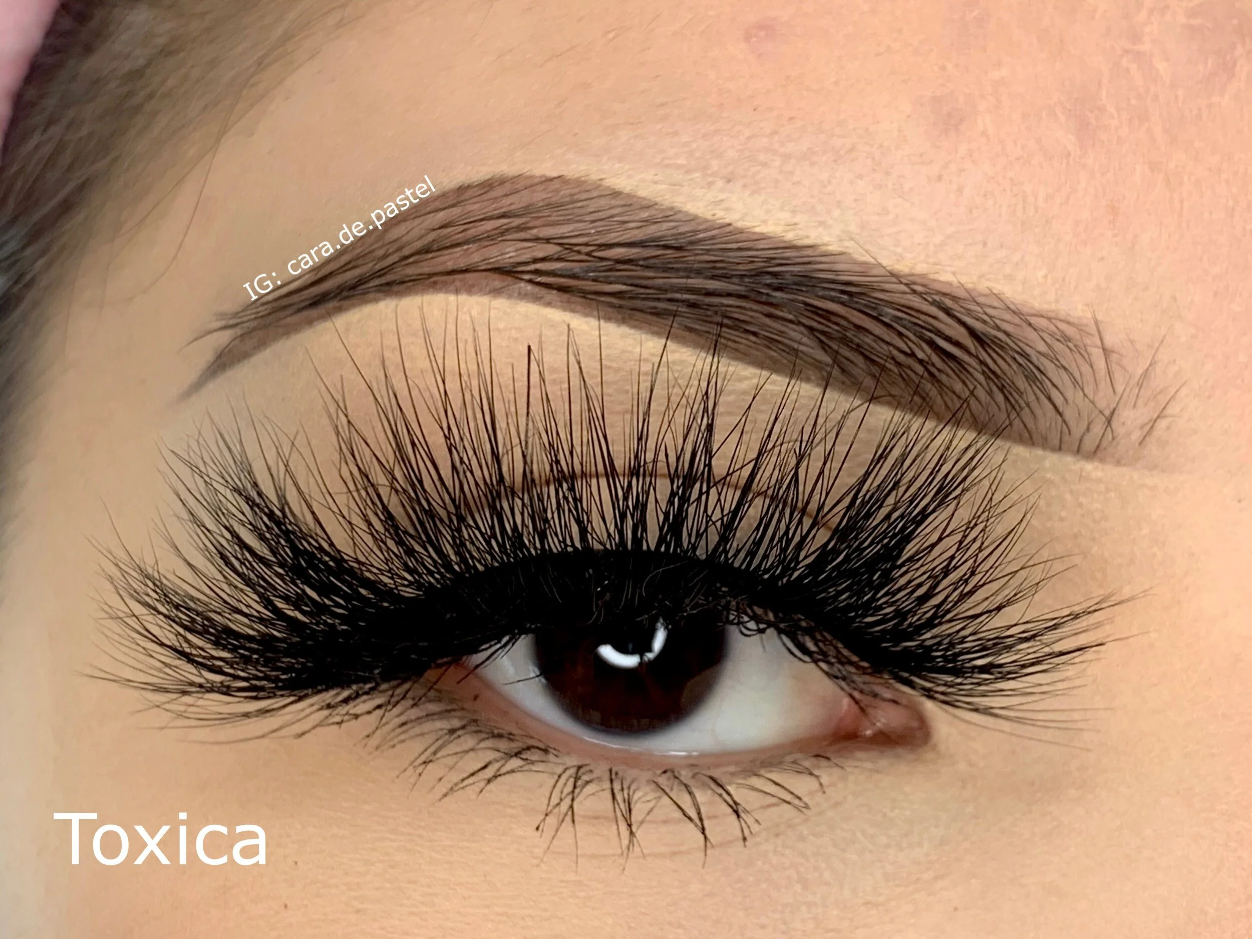 toxica swatch.jfif