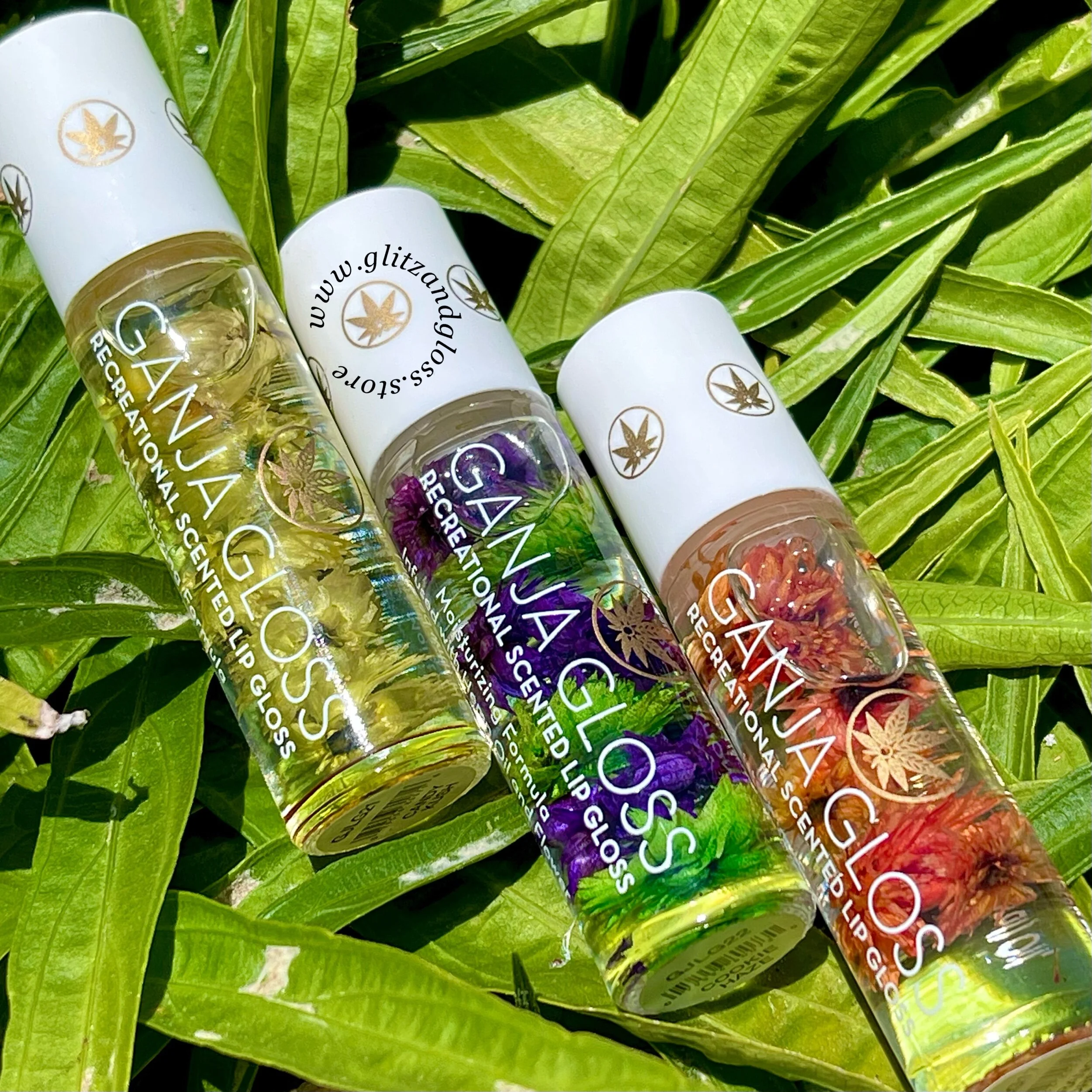 3BA248AC-8296-4307-B1B5-4DAC3B2C2DA1