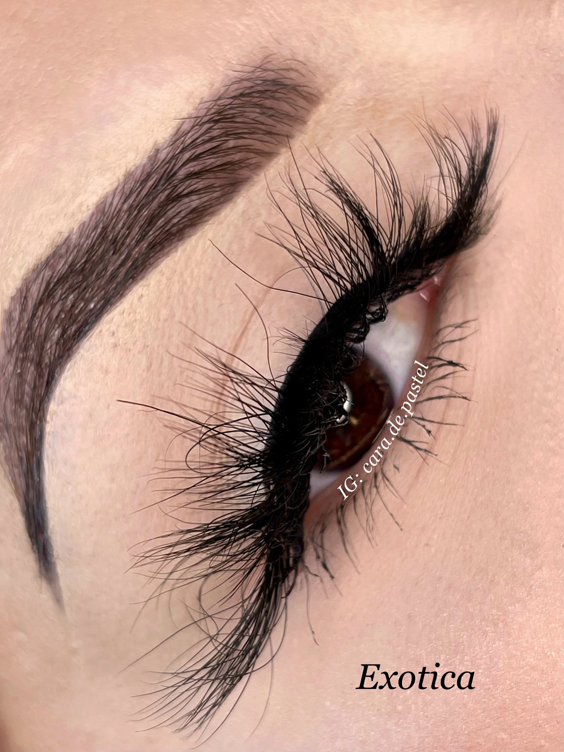 7A58EE0B-6C52-46C0-A8CC-51D95F1BF34A