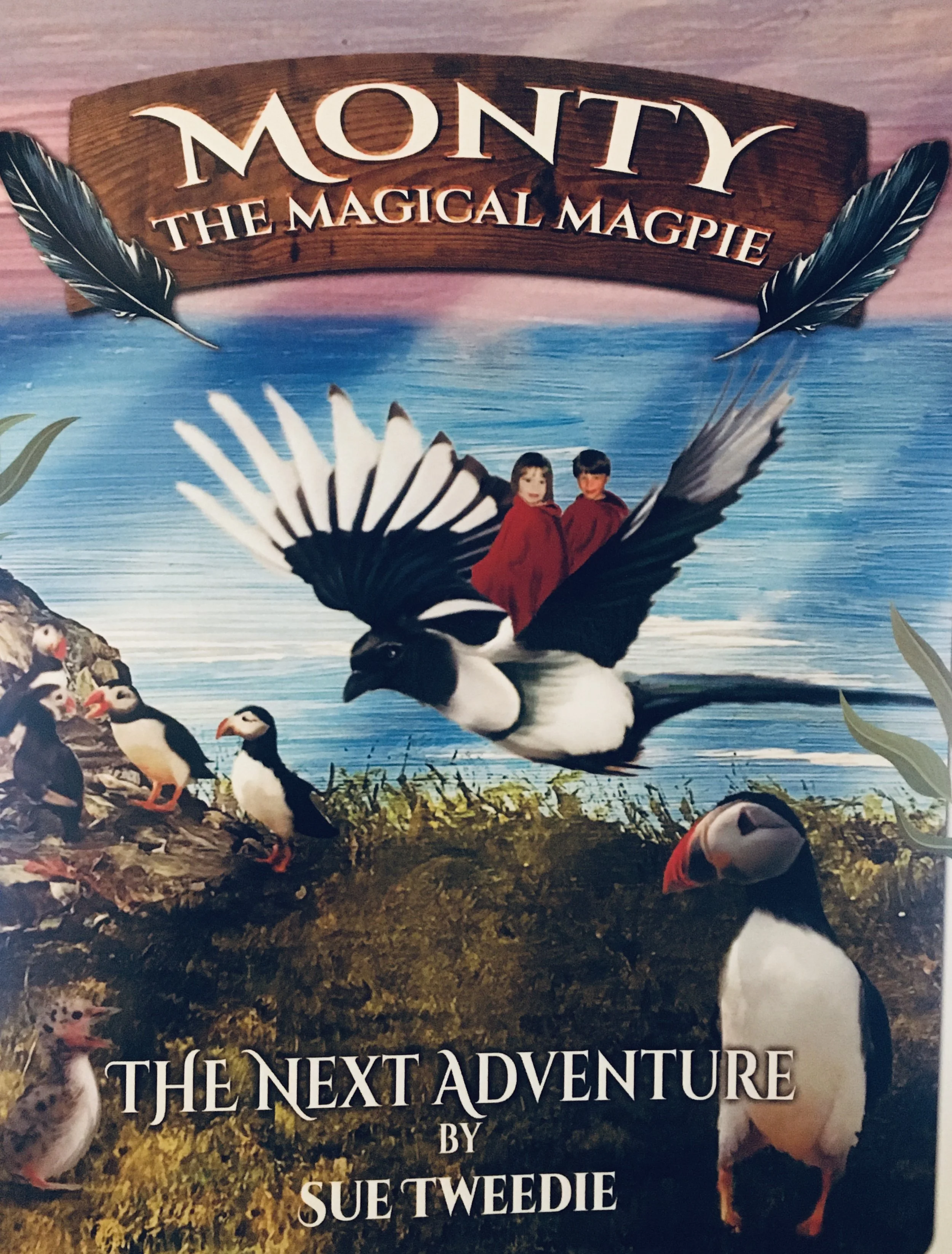 The Next Adventure soft cover