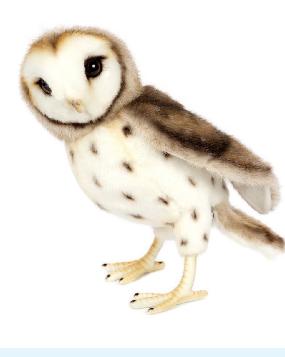 Hansa Barn Owl