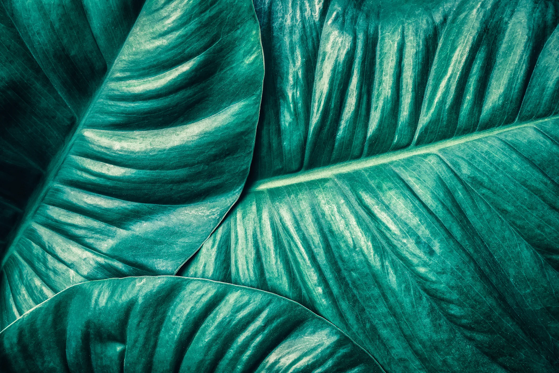 iStock-909579276.jpg