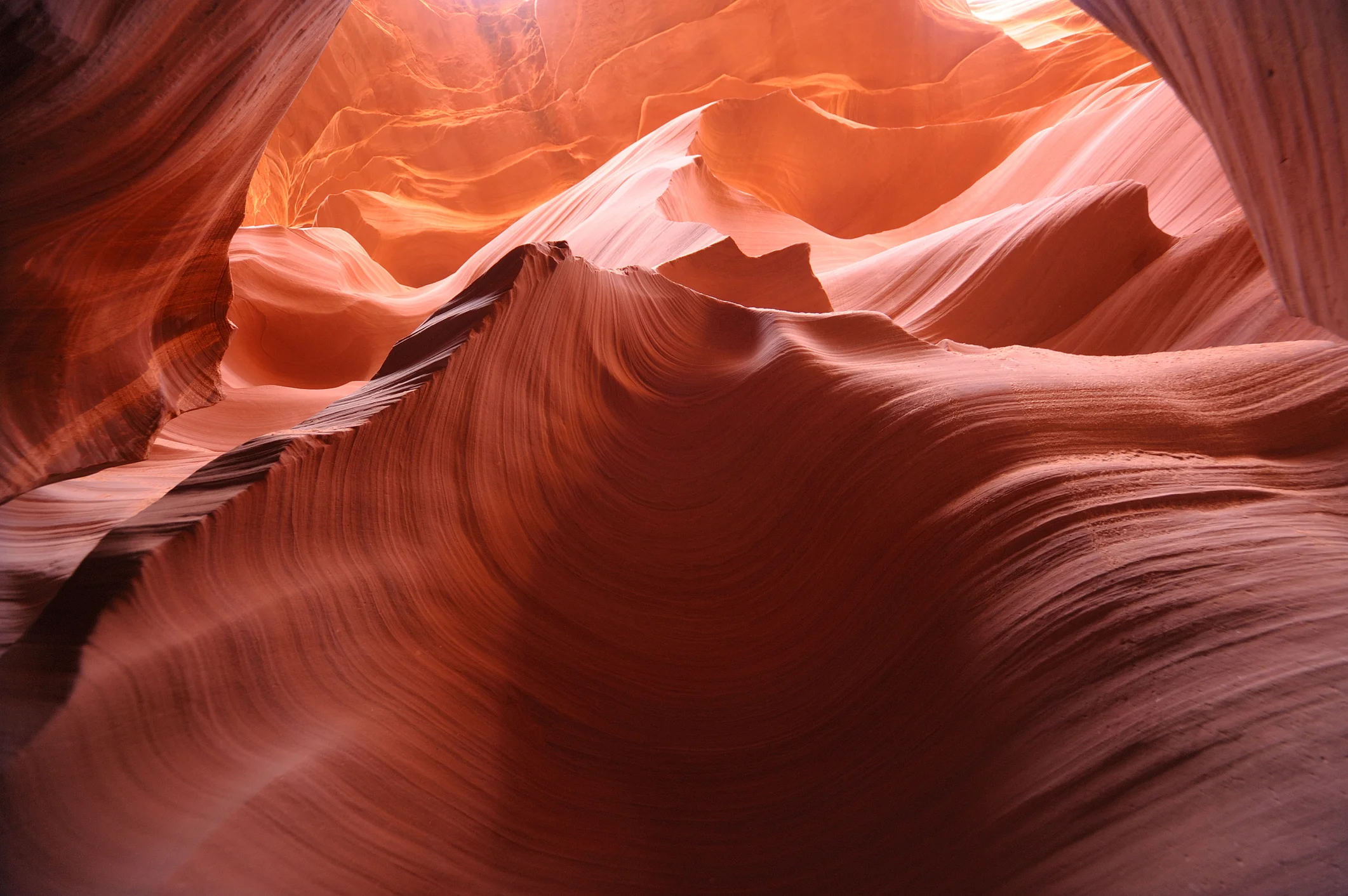 iStock-647975052.jpg