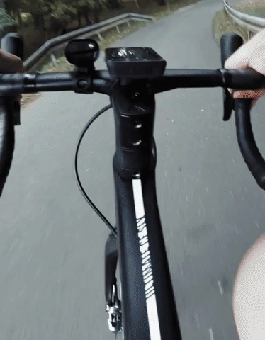 adidascycling_3.gif