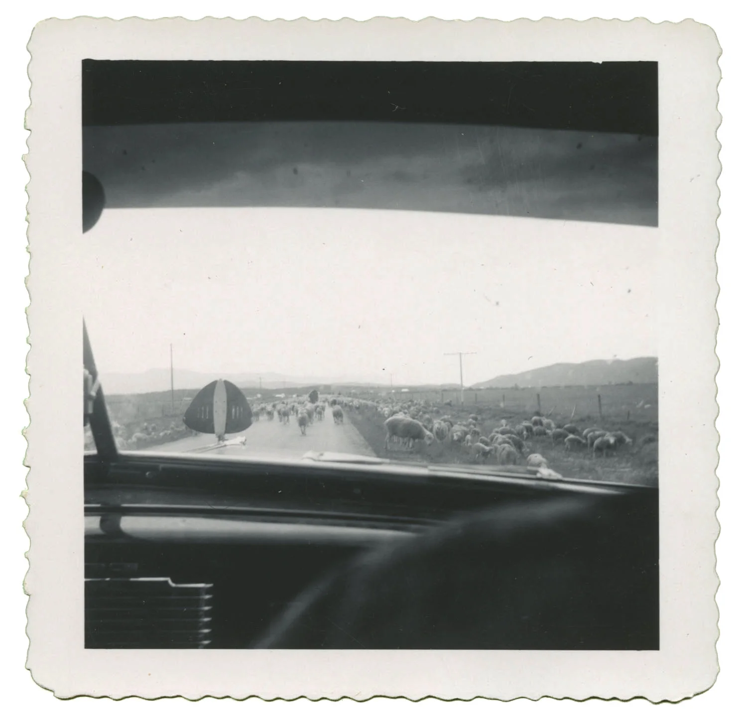 Drive By 2.jpg