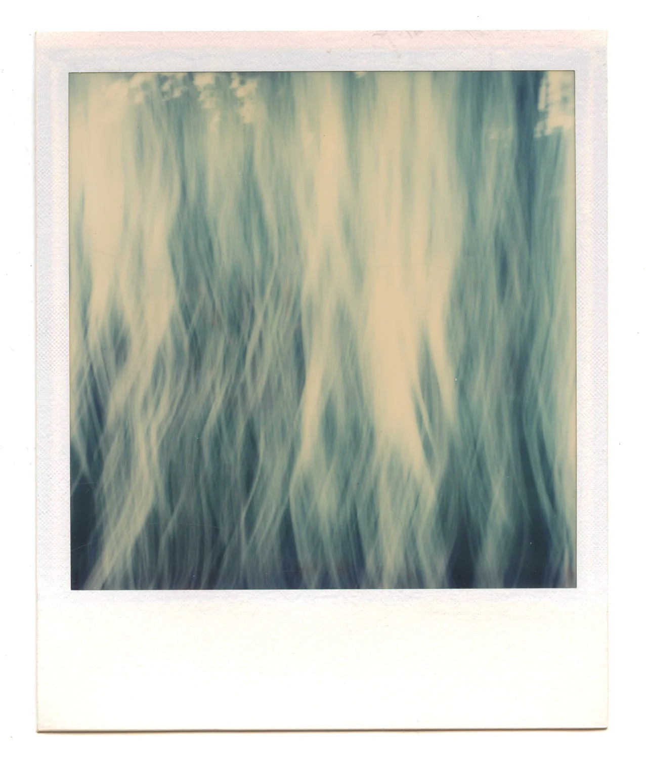 Polaroid 3.jpg