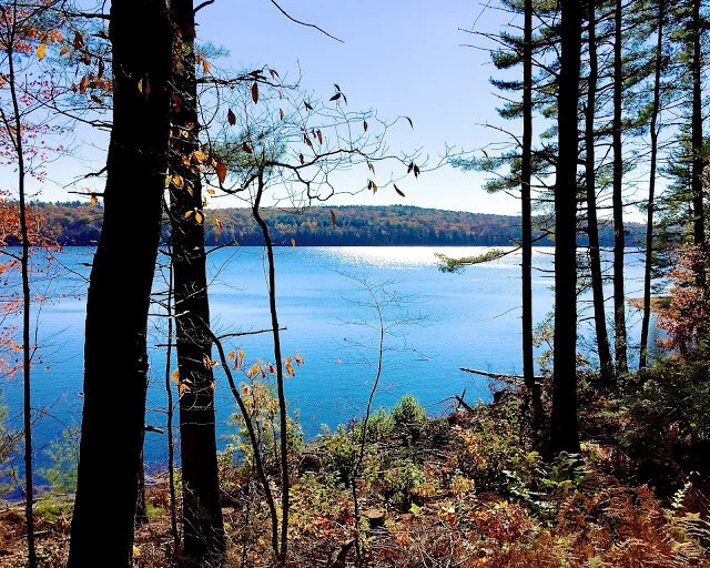 OUTDOOR FAMILY FUN (NOT EVEN KIDDING!) 