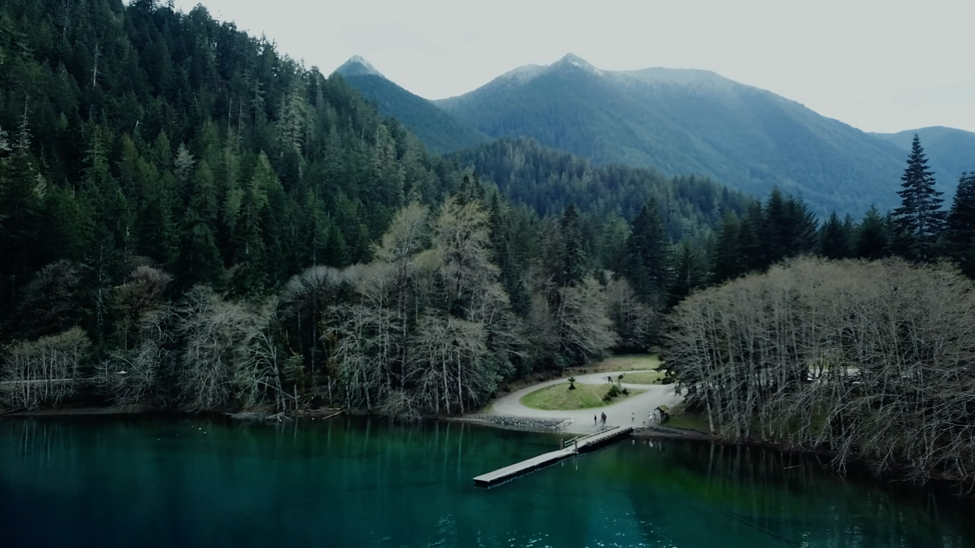 Screenshot 2024-08-12 133742.png