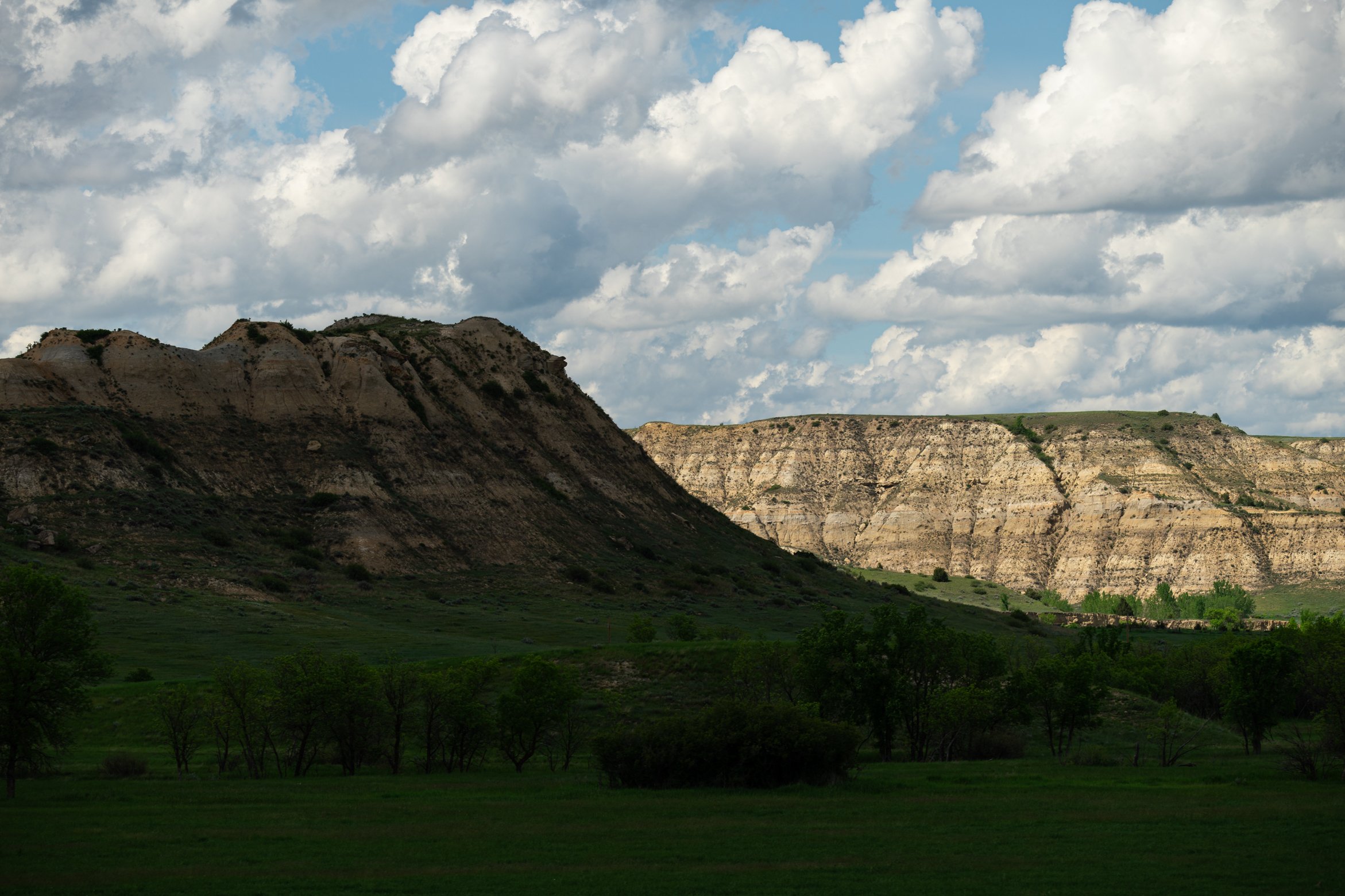 _A749086.jpg