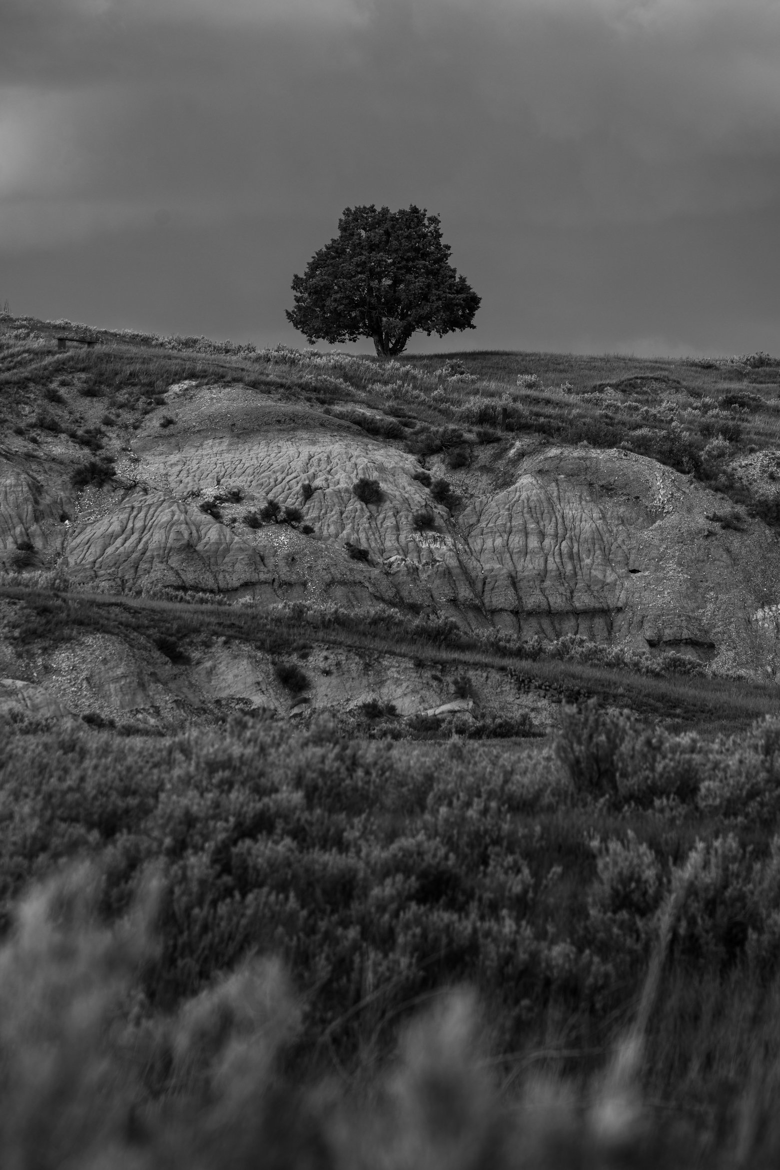 _A749110.jpg