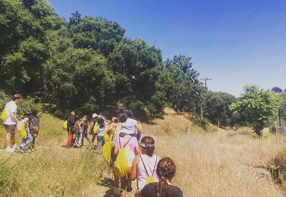 We hope everyone is having a peaceful, wonderful weekend! Our Camp for All Program (a feee program providing underserved youth in Los Angeles  with free outdoor educational camps and surf camps)  is expanding again into the glorious LA spring months,