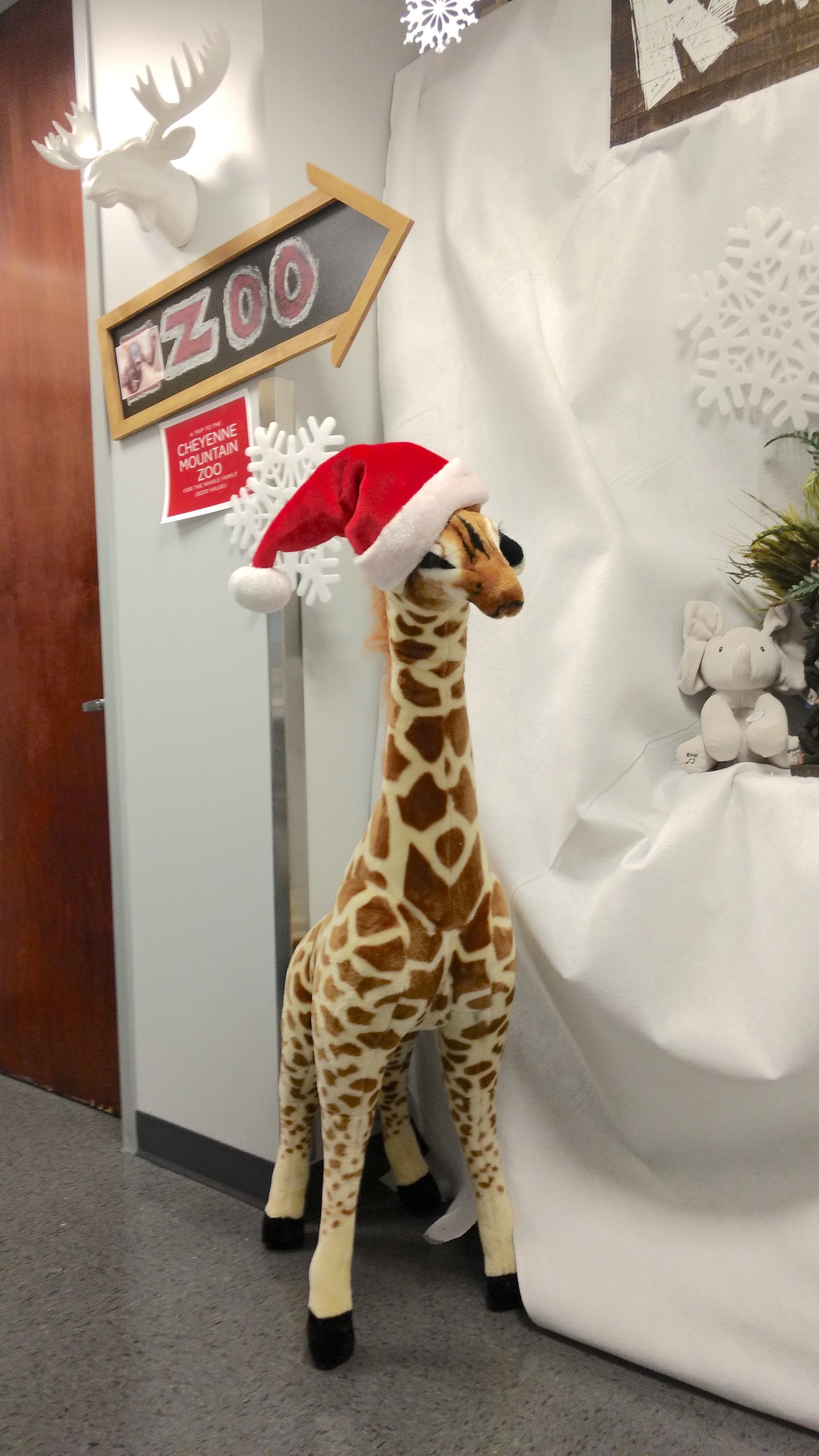 16-Everyone fell in love with the giraffe at the Cheyenne Mountain Zoo Gift Station.jpg