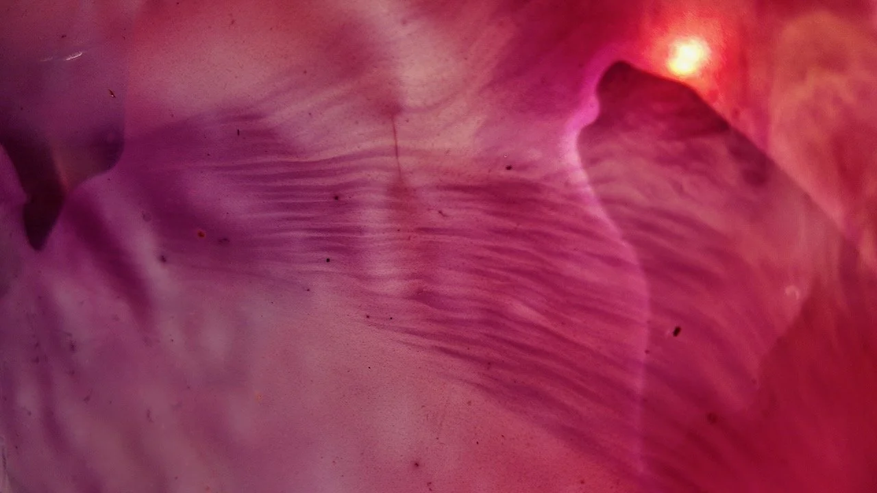 Library - 9 of 16.jpeg