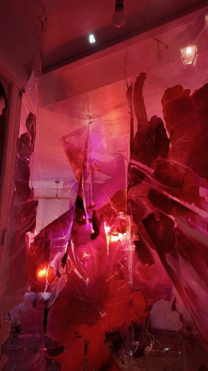 Library - 2 of 16.jpeg