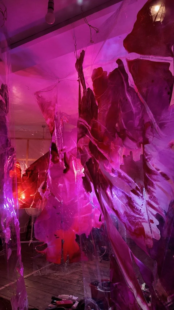 Library - 1 of 16.jpeg