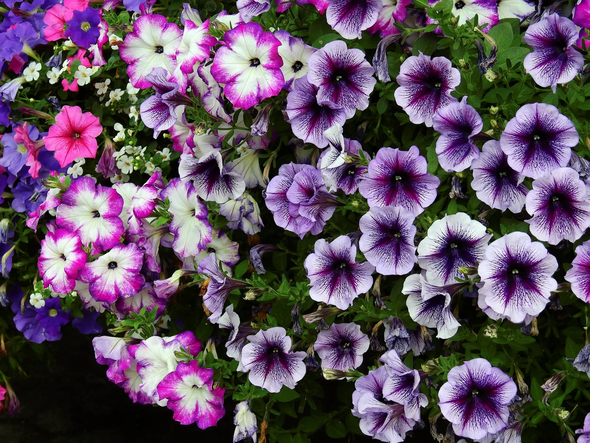 Her imprint upon me is deep, and I like it.