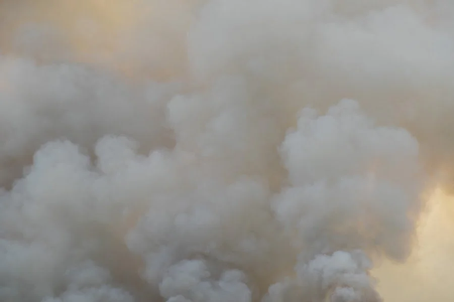 Why? Because I keep forgetting...